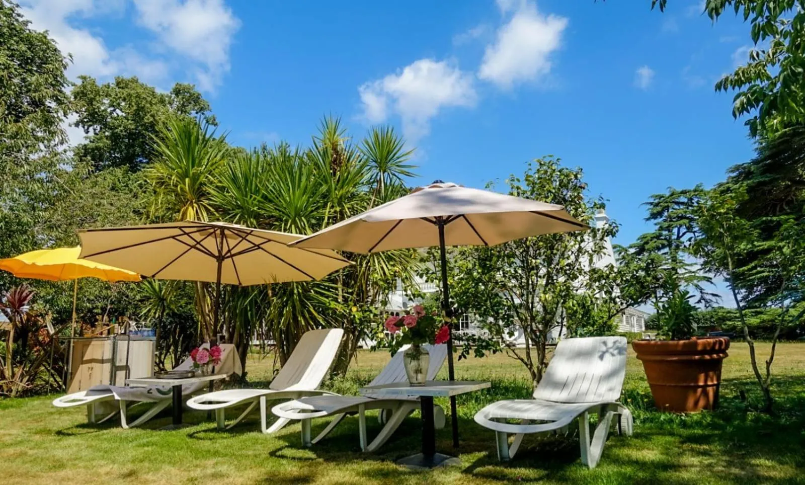 Swimming pool in Cedar House Boutique B&B