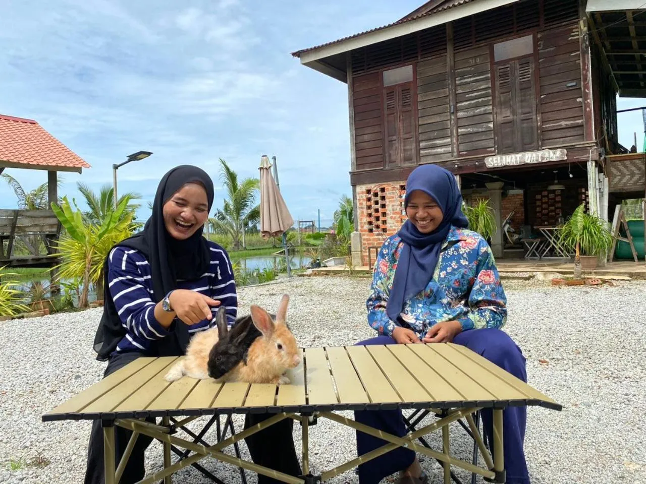 Animals in Dangau Sala D'Kontena