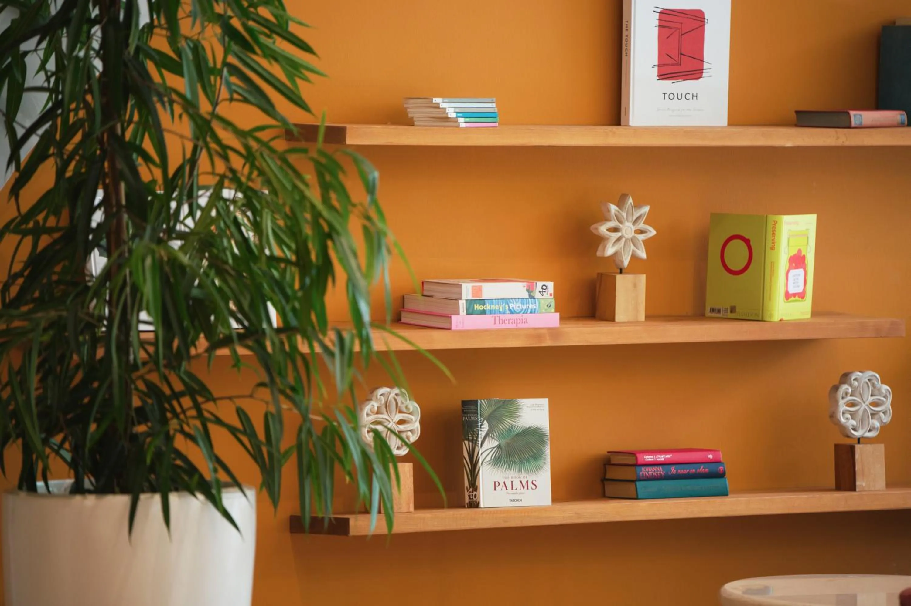 Day in Marti La Perla - Adult Only+16