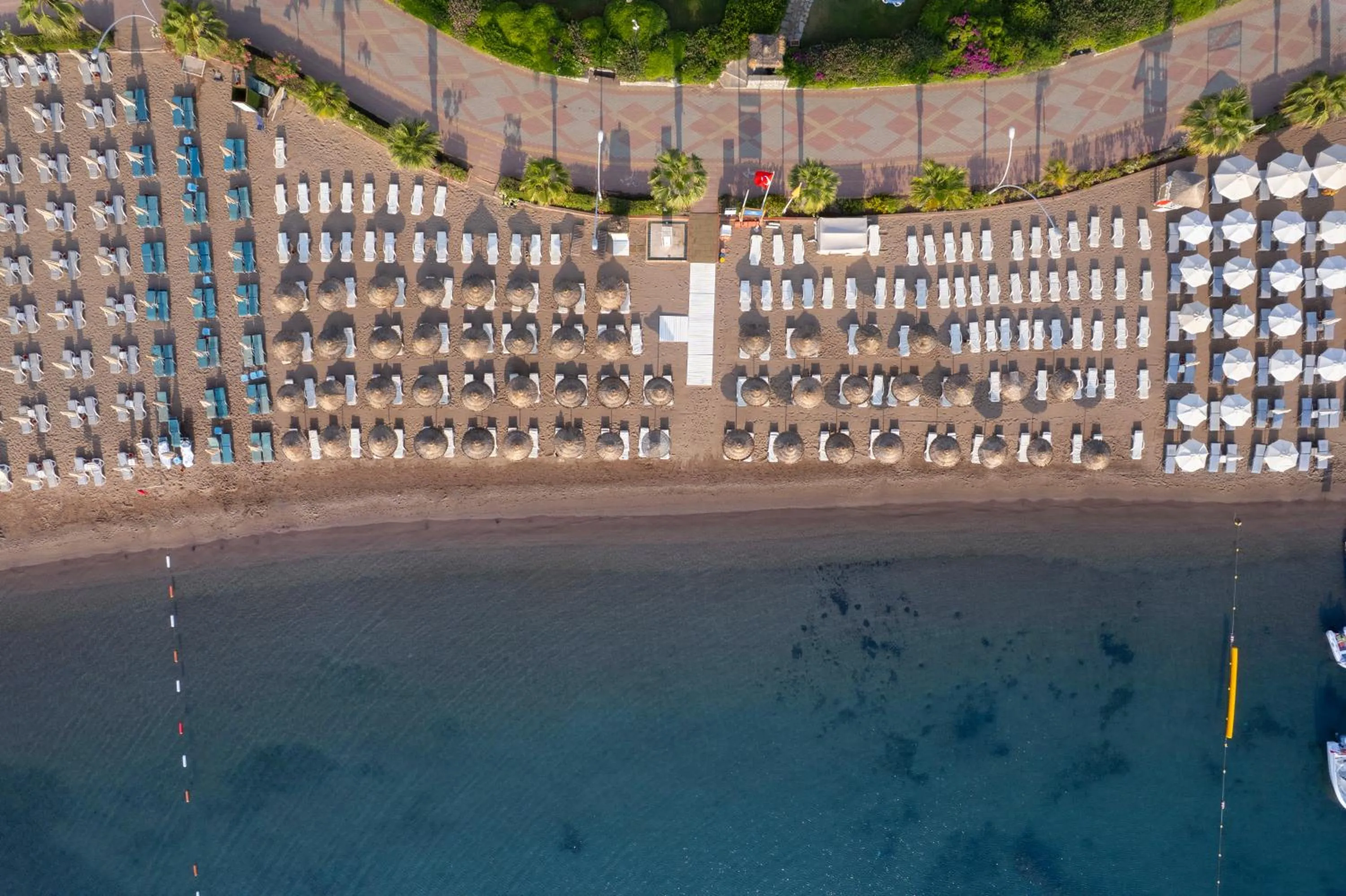 Day in Marti La Perla - Adult Only+16