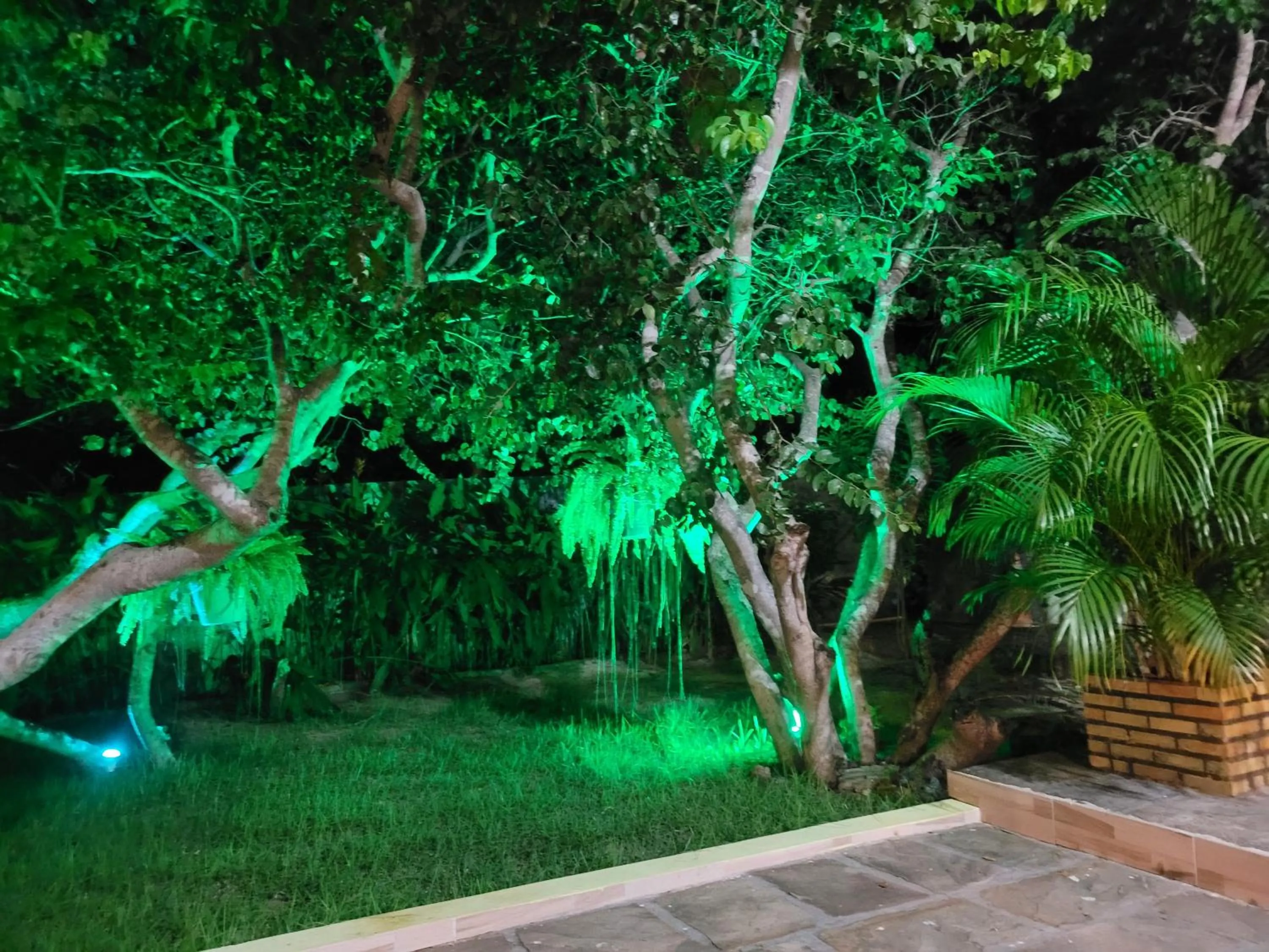 Garden view in Recanto das Arvores