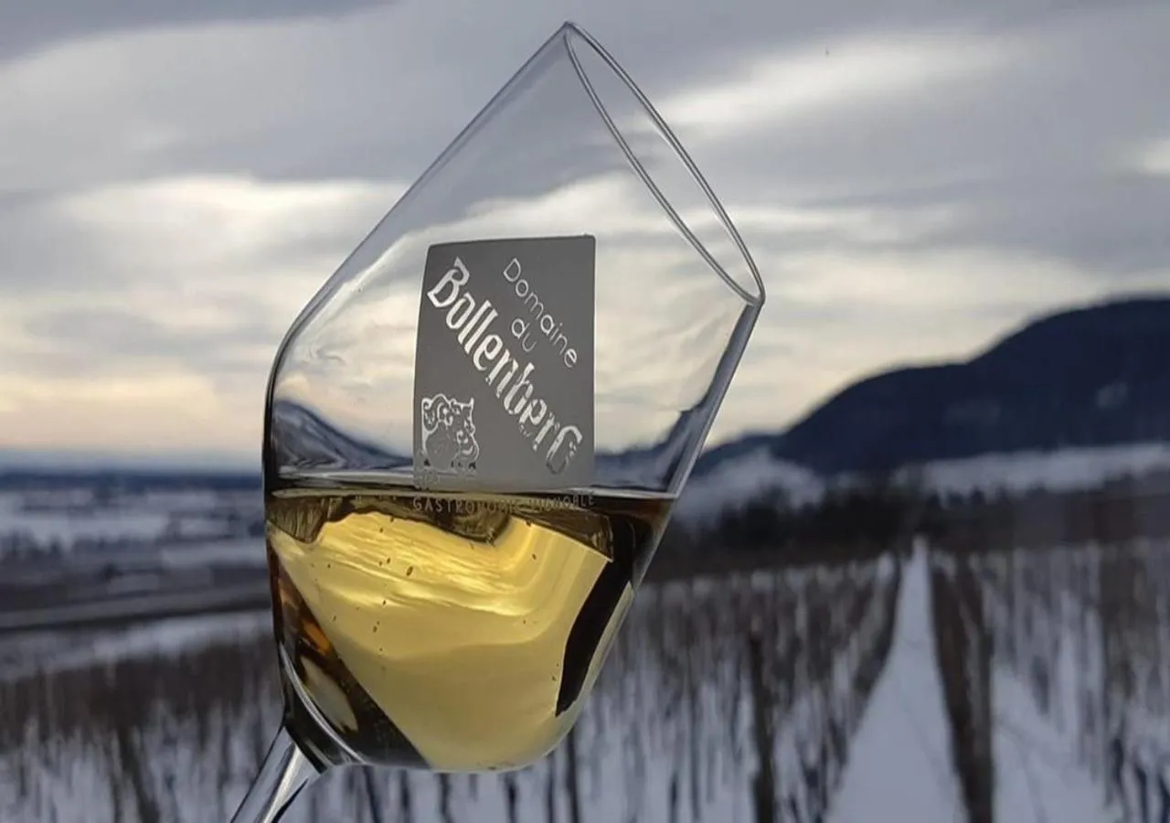 Restaurant/places to eat in Hôtel du Bollenberg - Restaurant "Côté Plaine" - Spa de la Colline