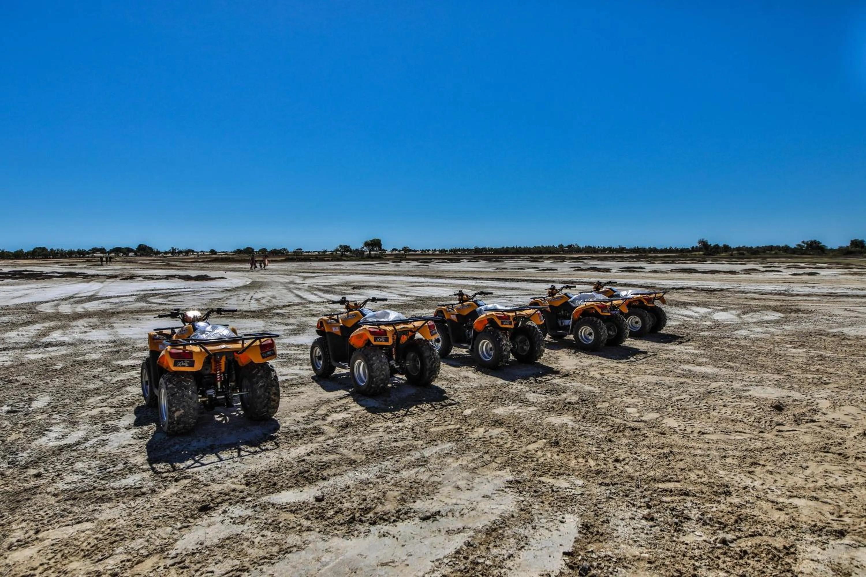 Activities in CAP KIMONY