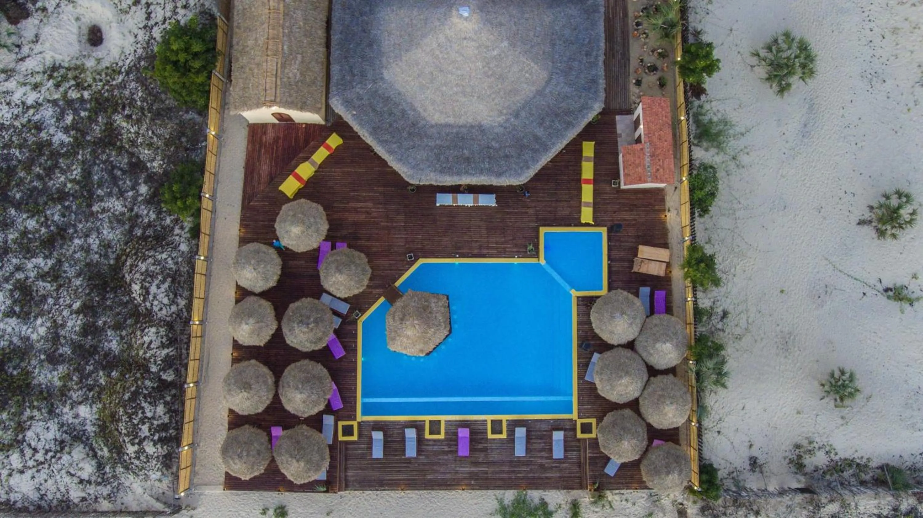 Activities in LAGUNA BEACH