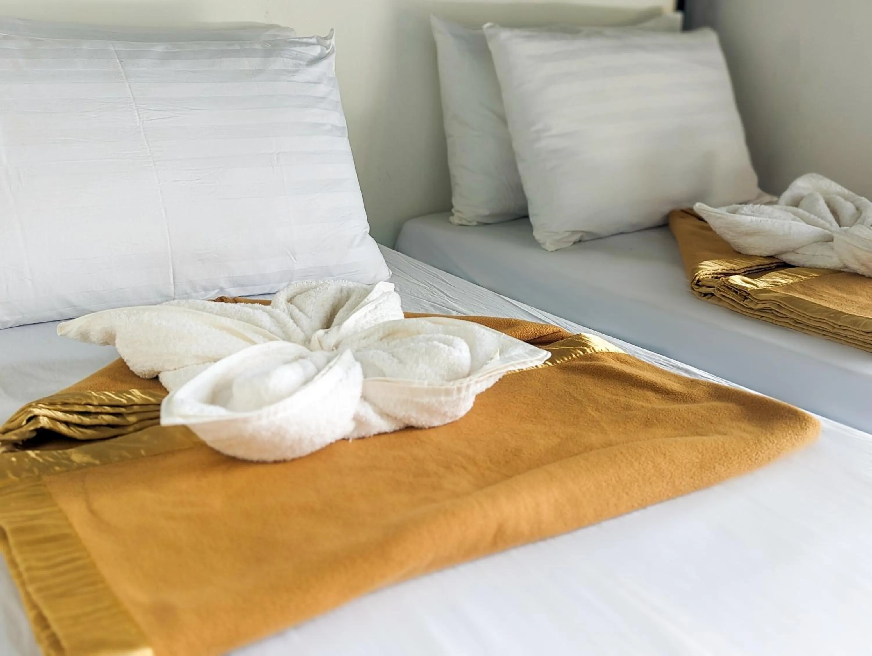 Lexias Hostel and Workspace - El Nido