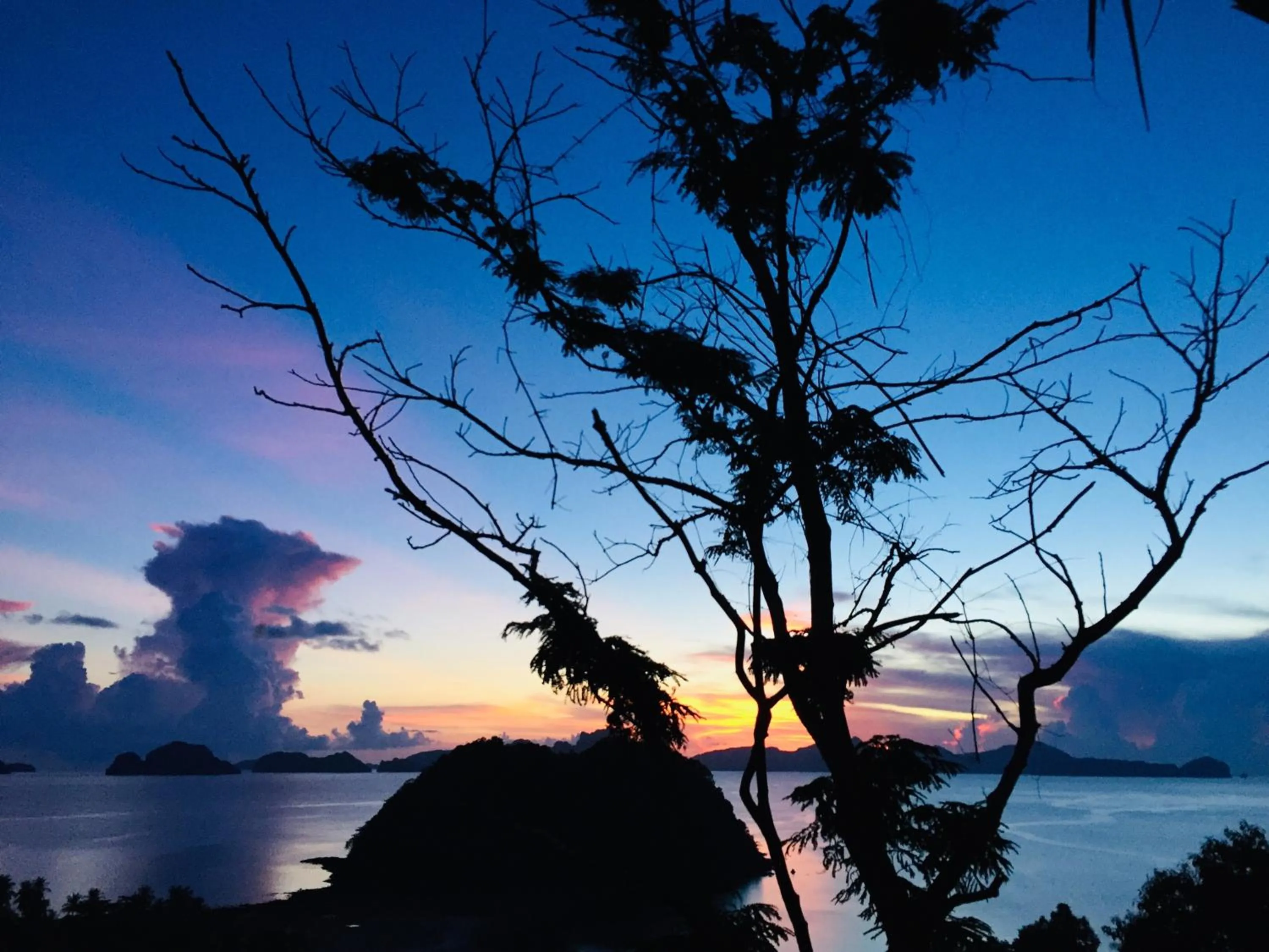 Lexias Hostel and Workspace - El Nido