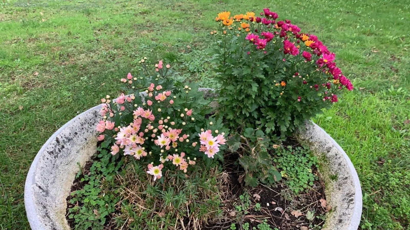 Garden in B & B Chic