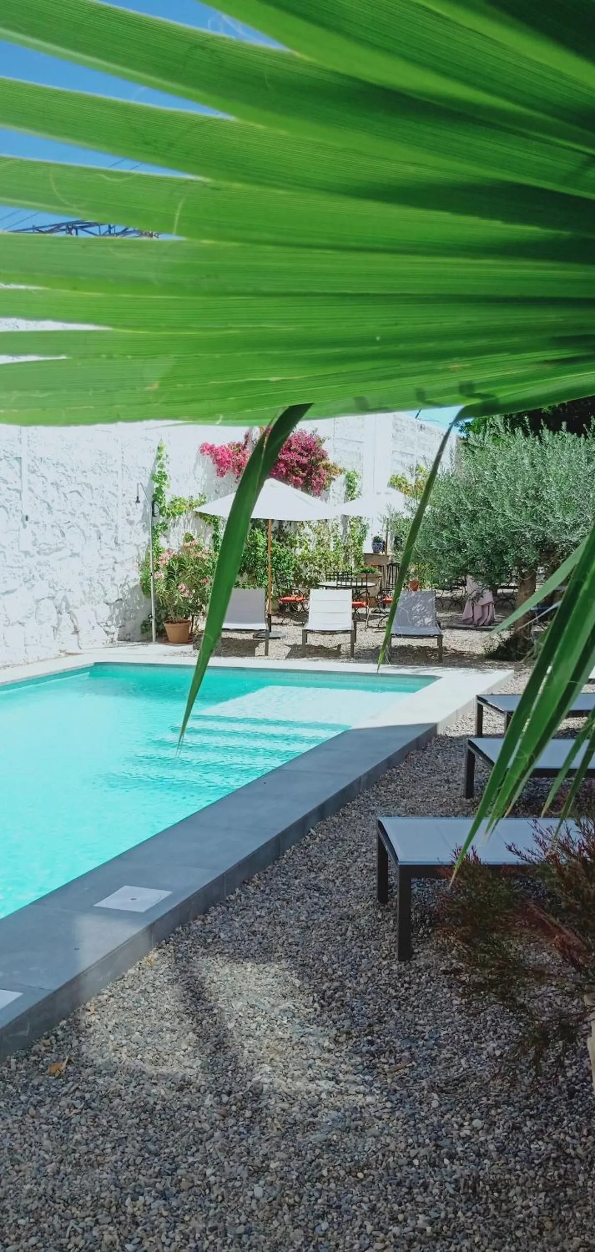 Swimming pool in El Cielo Azul