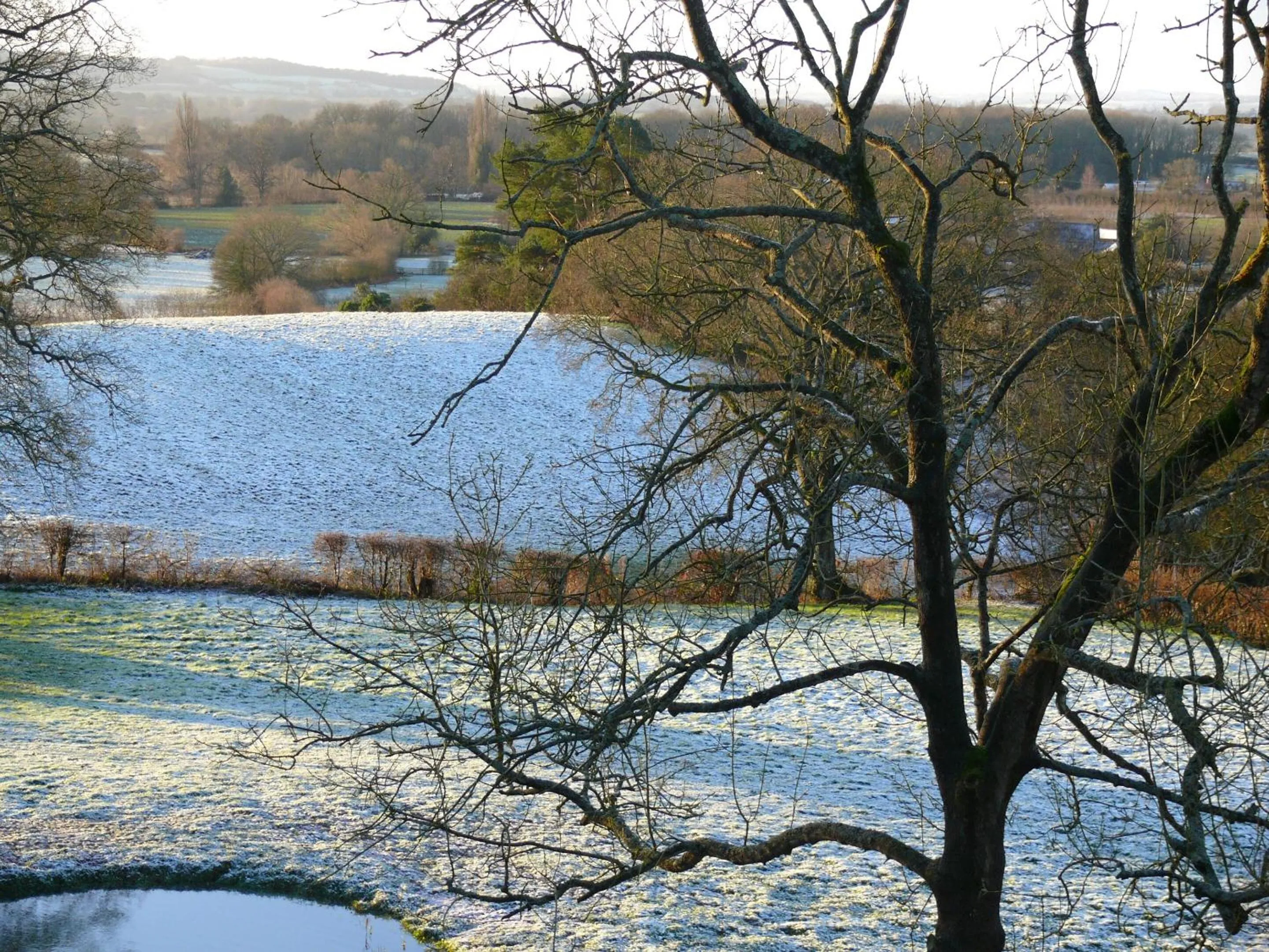 Property building in The Larches Ledbury