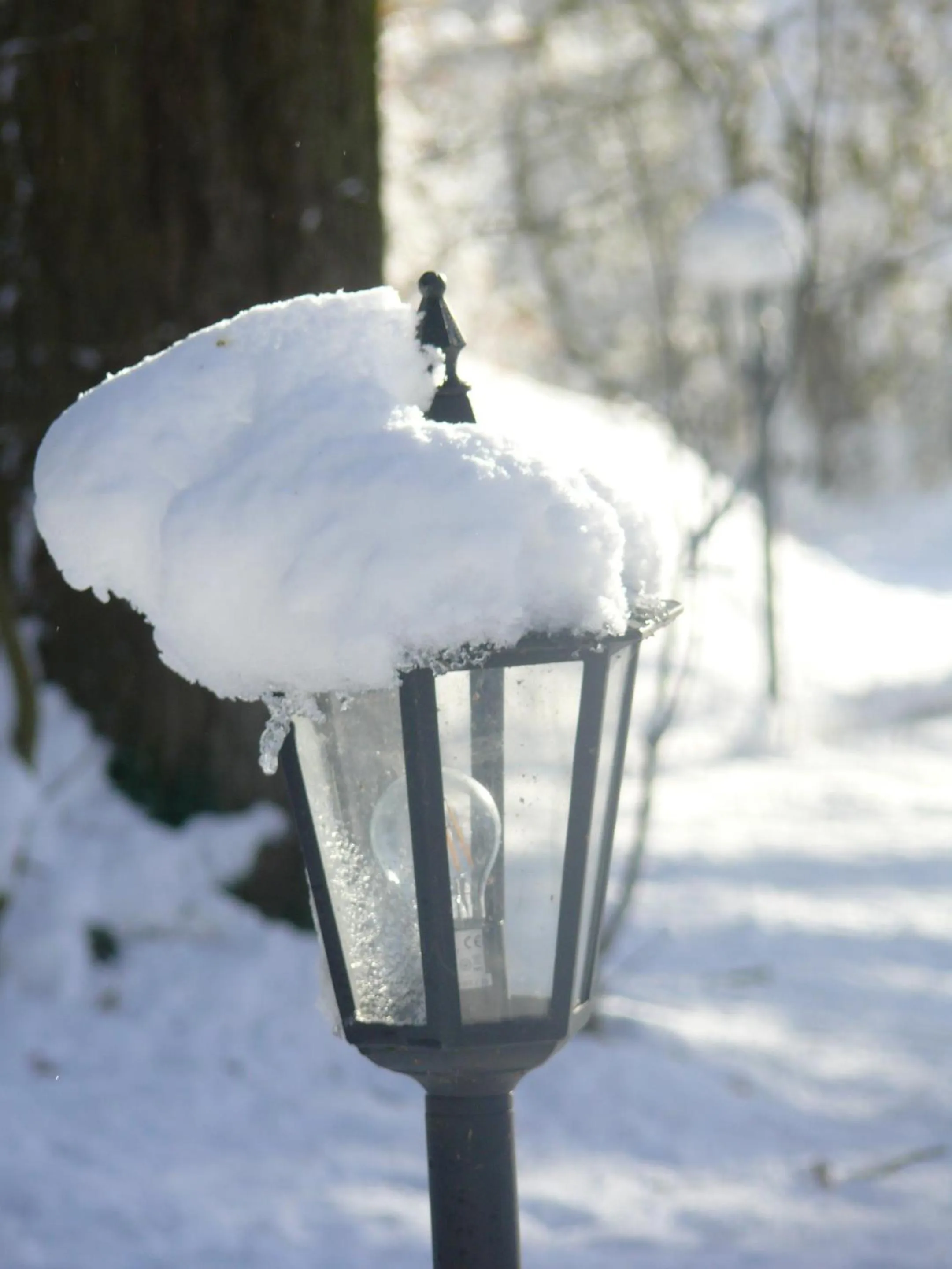 Property building in The Larches Ledbury