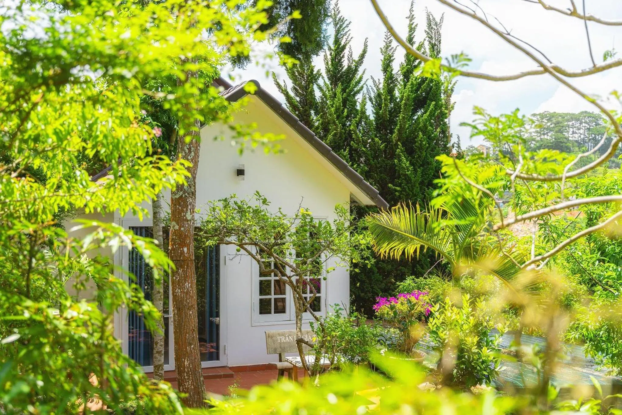 Property building in Dieu Thong Hotel