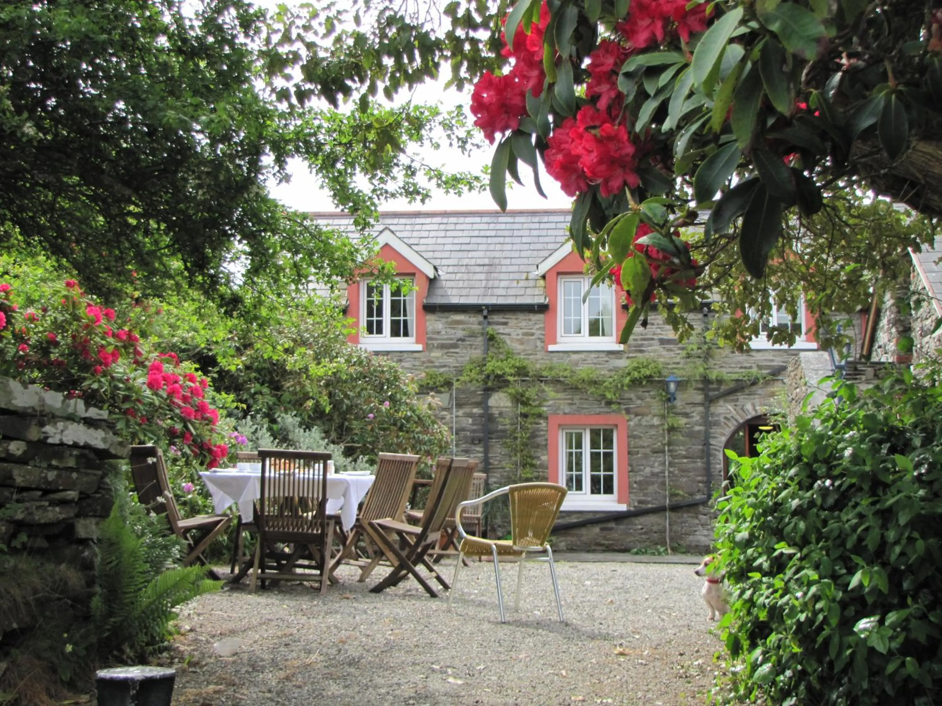 Property building in Rolfs Country House