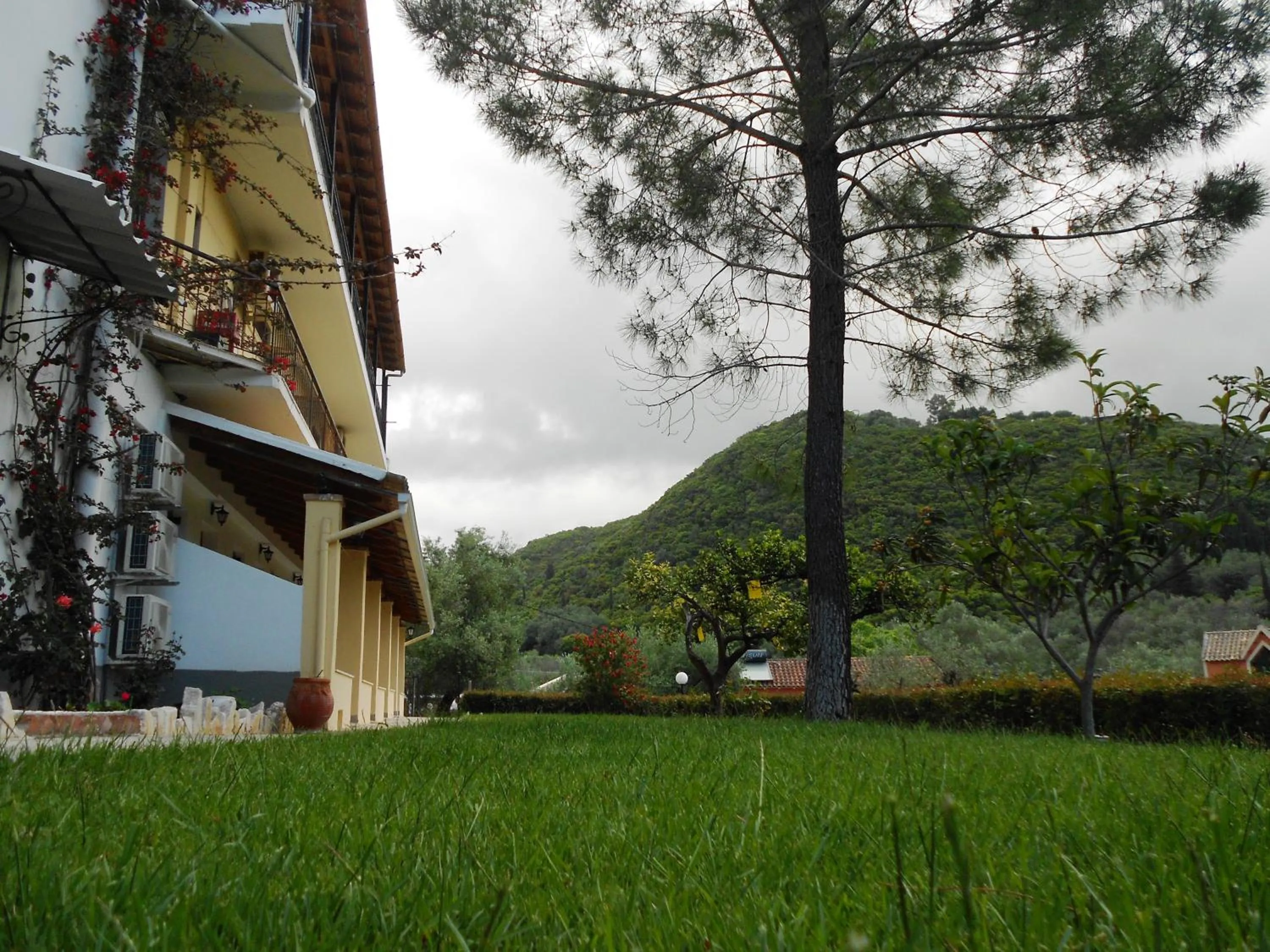 Garden in Anemona Studios