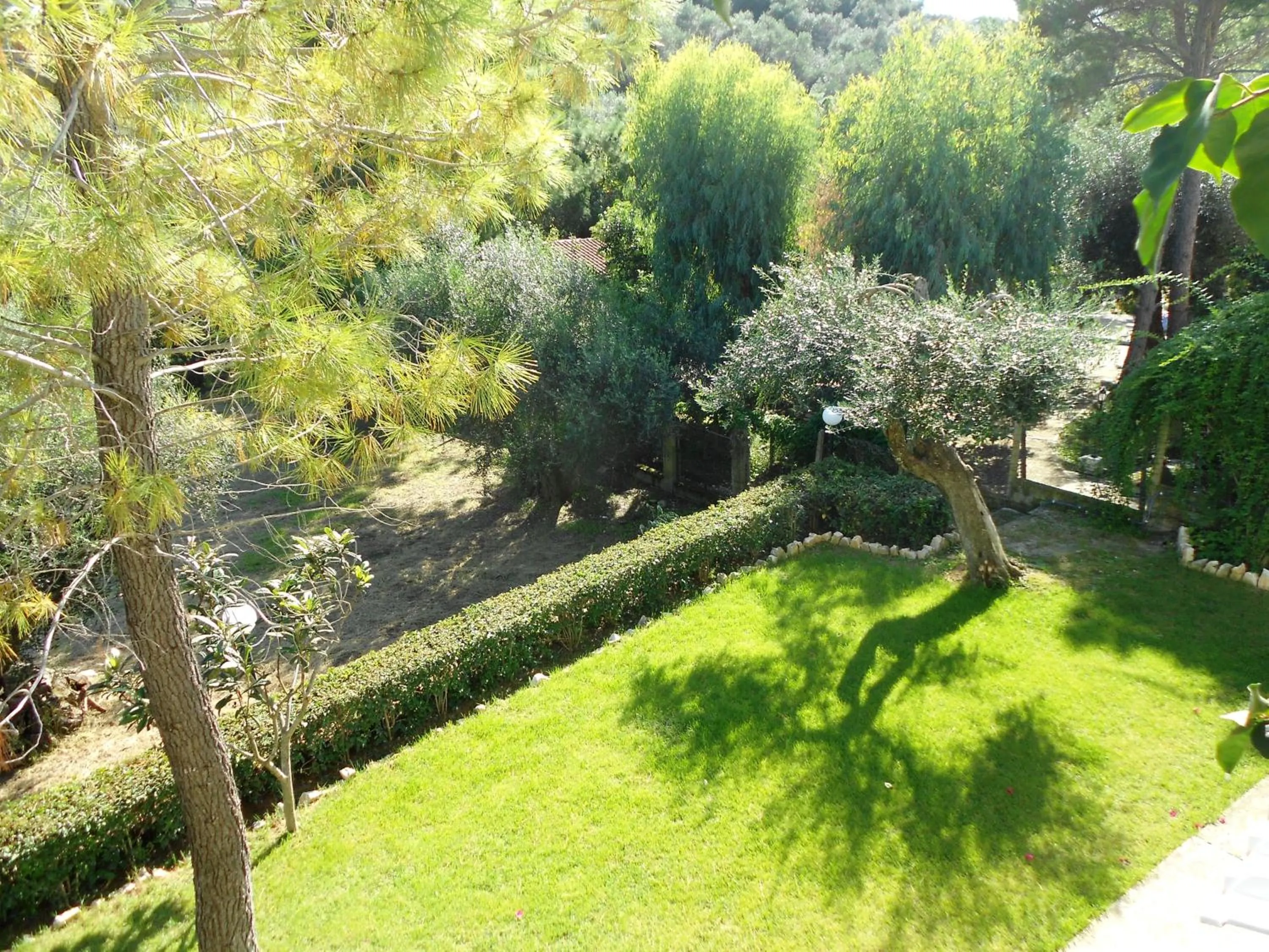 Garden in Anemona Studios