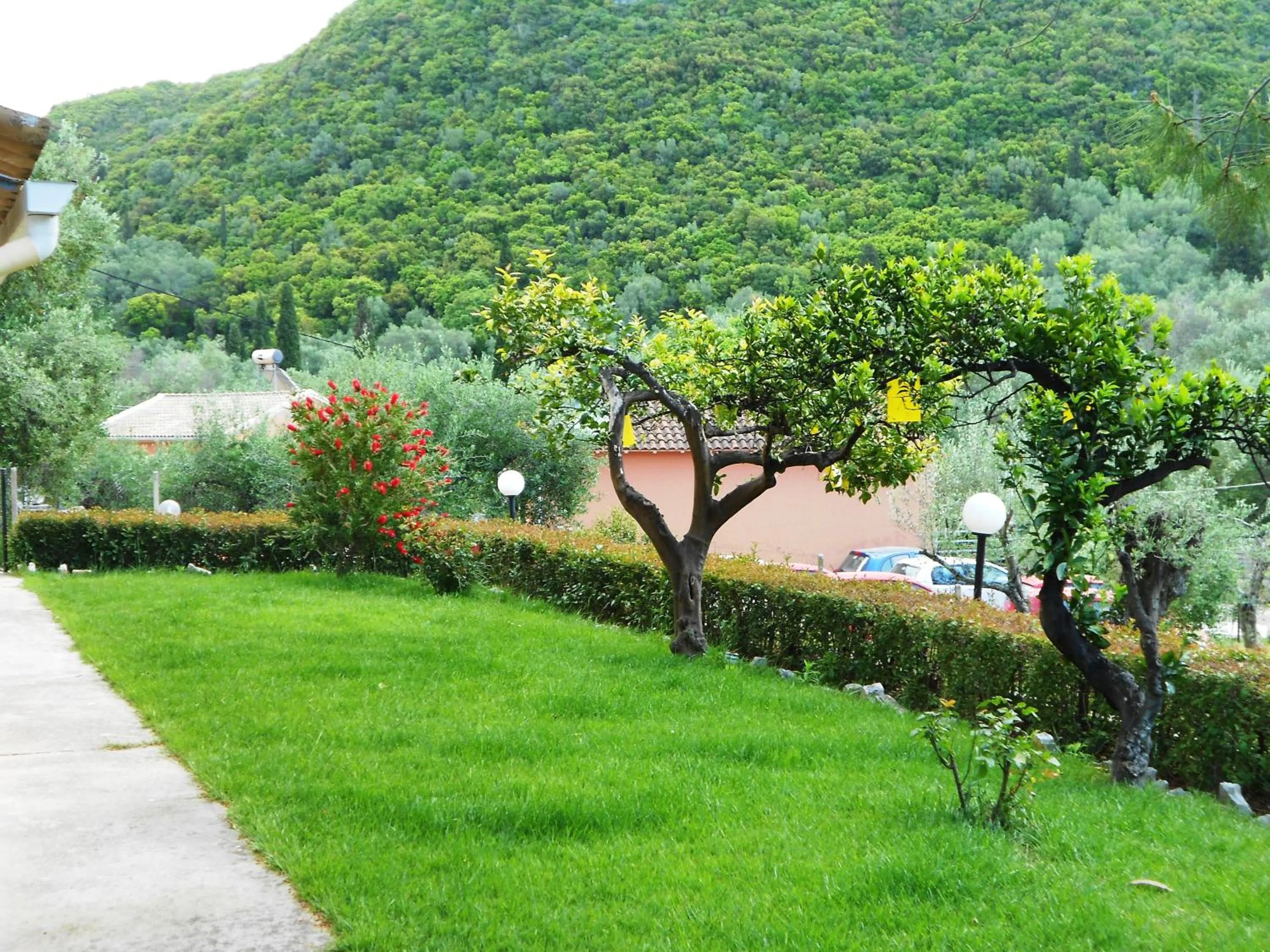 Garden in Anemona Studios