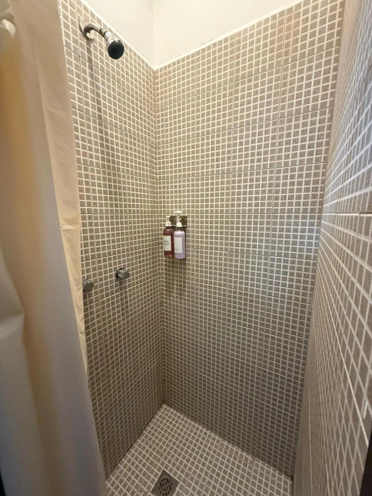 Shower in Suites Apodaca