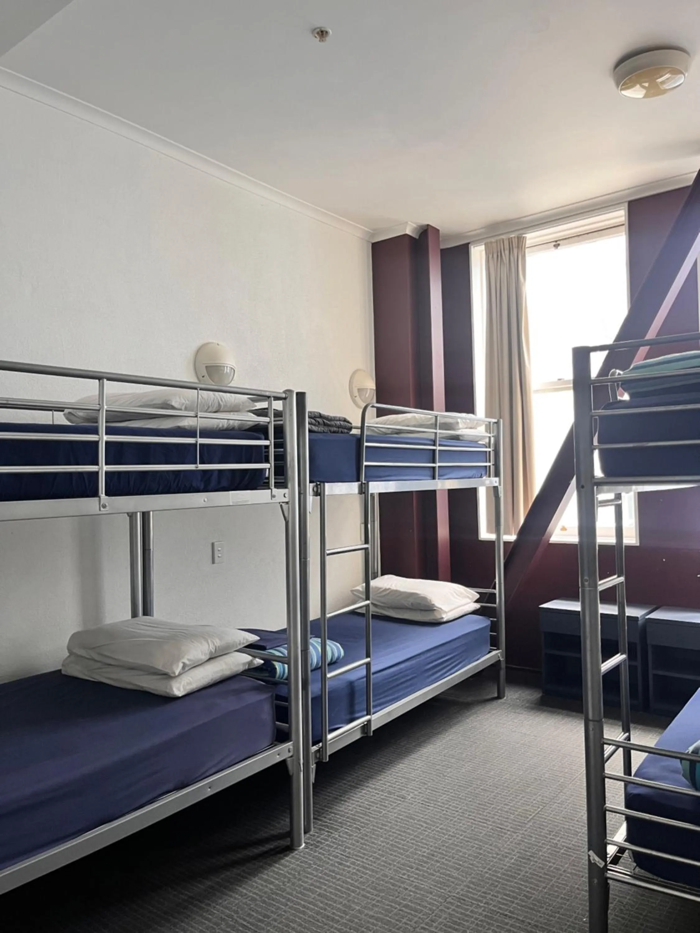 bunk bed, Bed in Nomads Capital Backpackers - Wellington