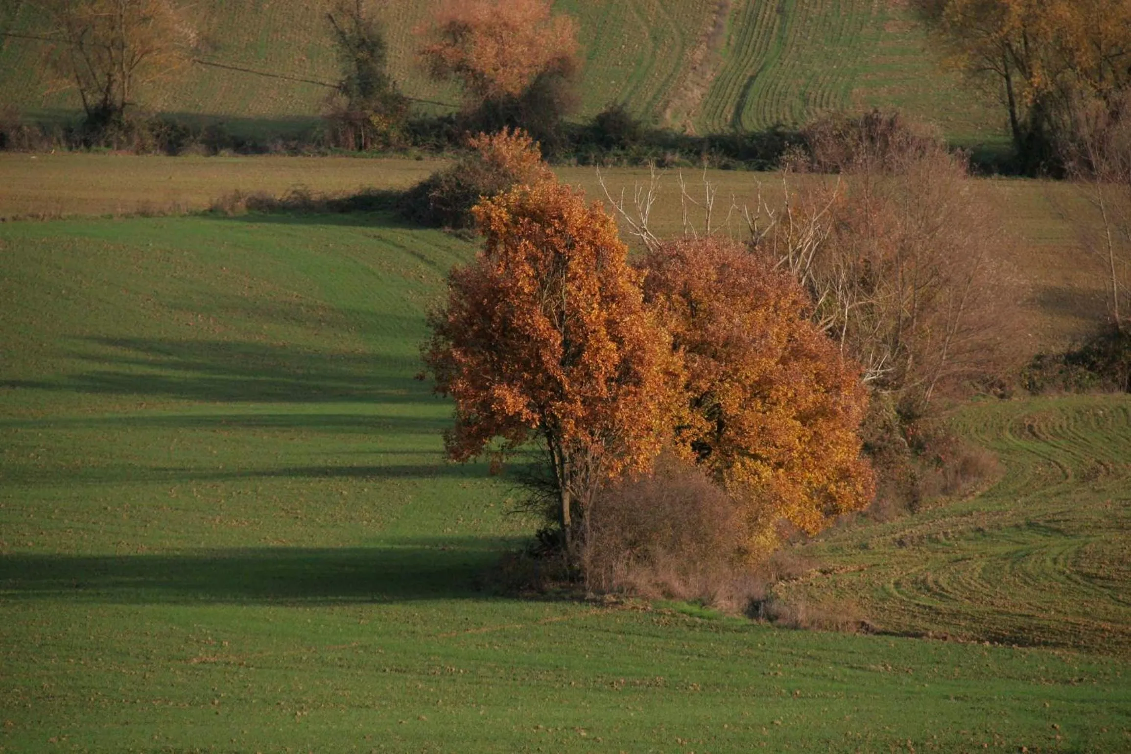 View (from property/room) in Il Nido di Gabbiano