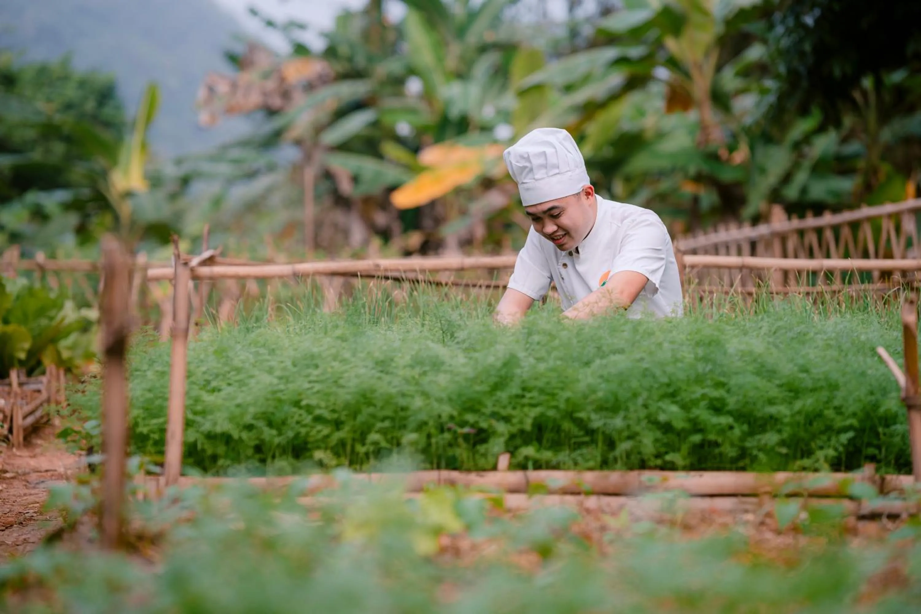 Mai Chau Mountain View Resort