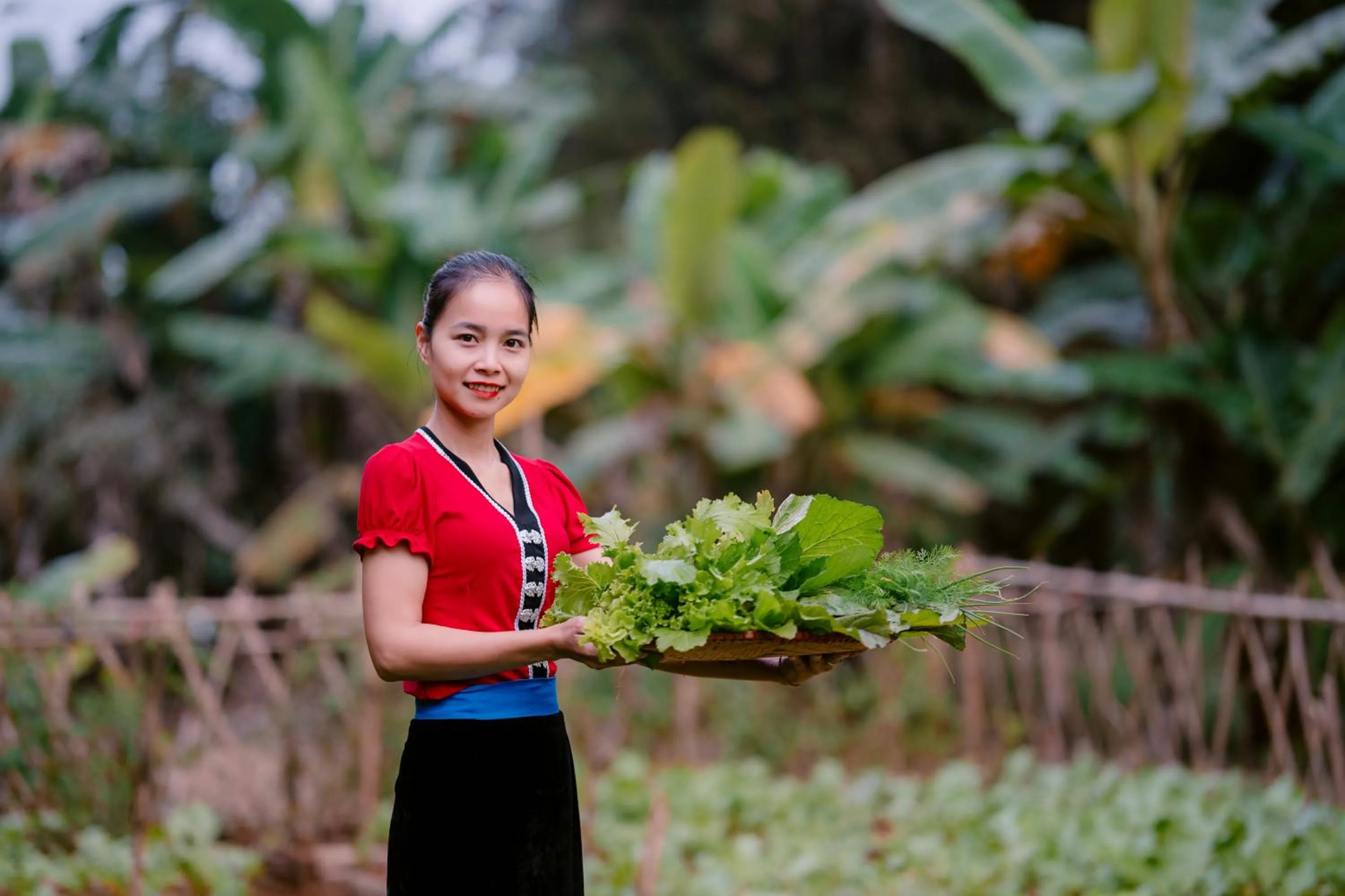 Mai Chau Mountain View Resort