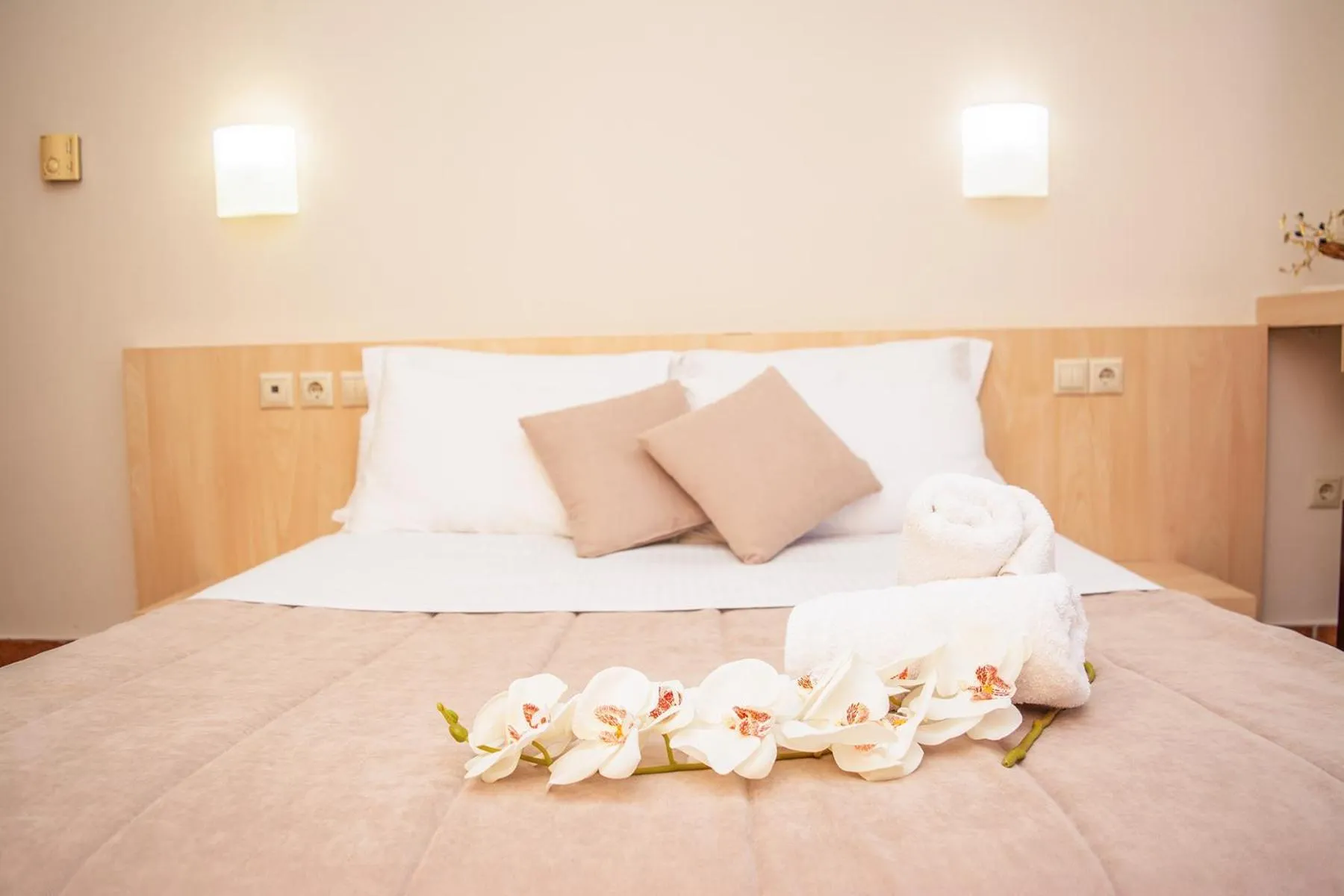 Bedroom, Bed in Platamon Centrale