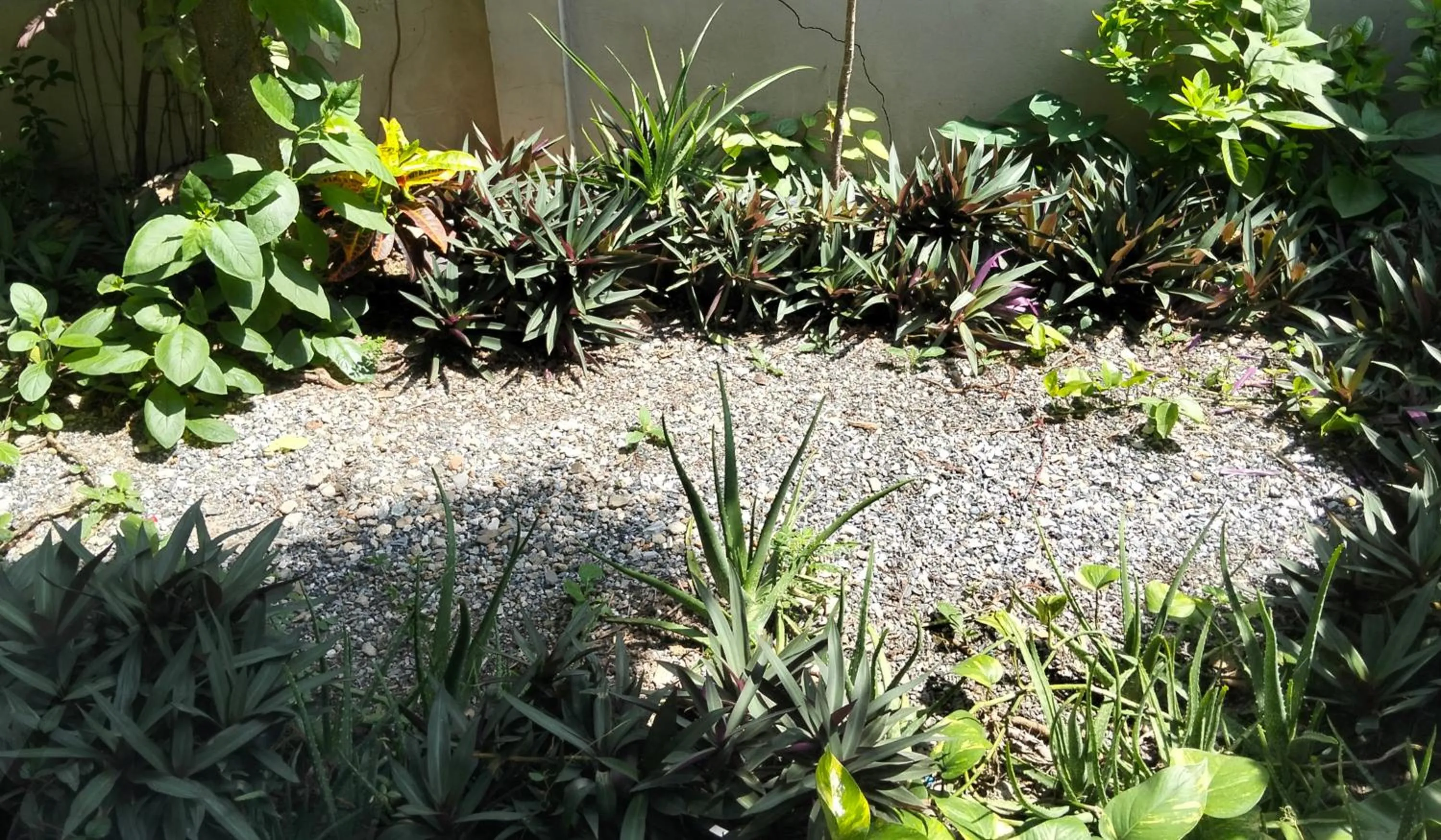 View (from property/room) in Baba pim villa