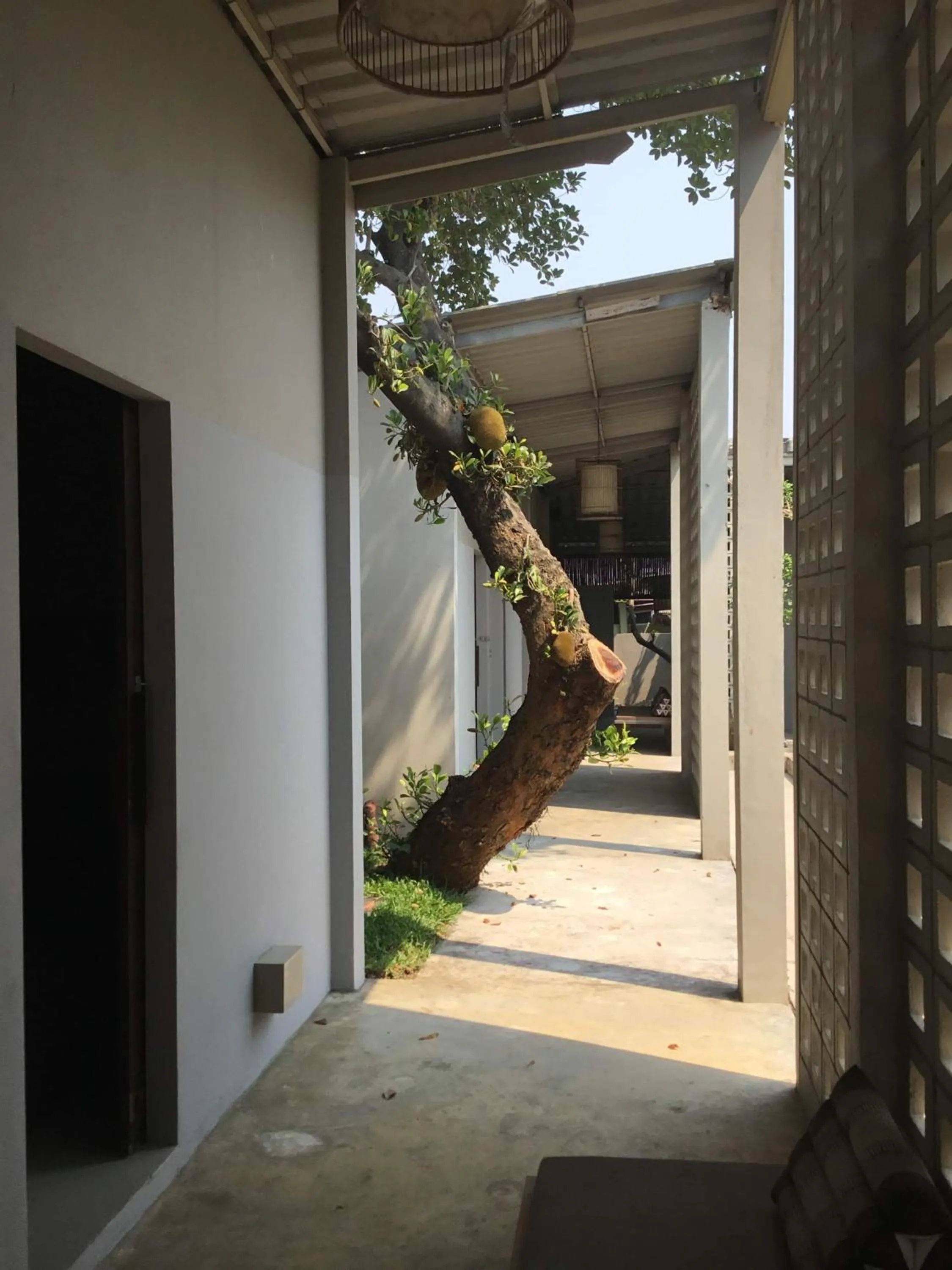 Balcony/Terrace in Baba pim villa