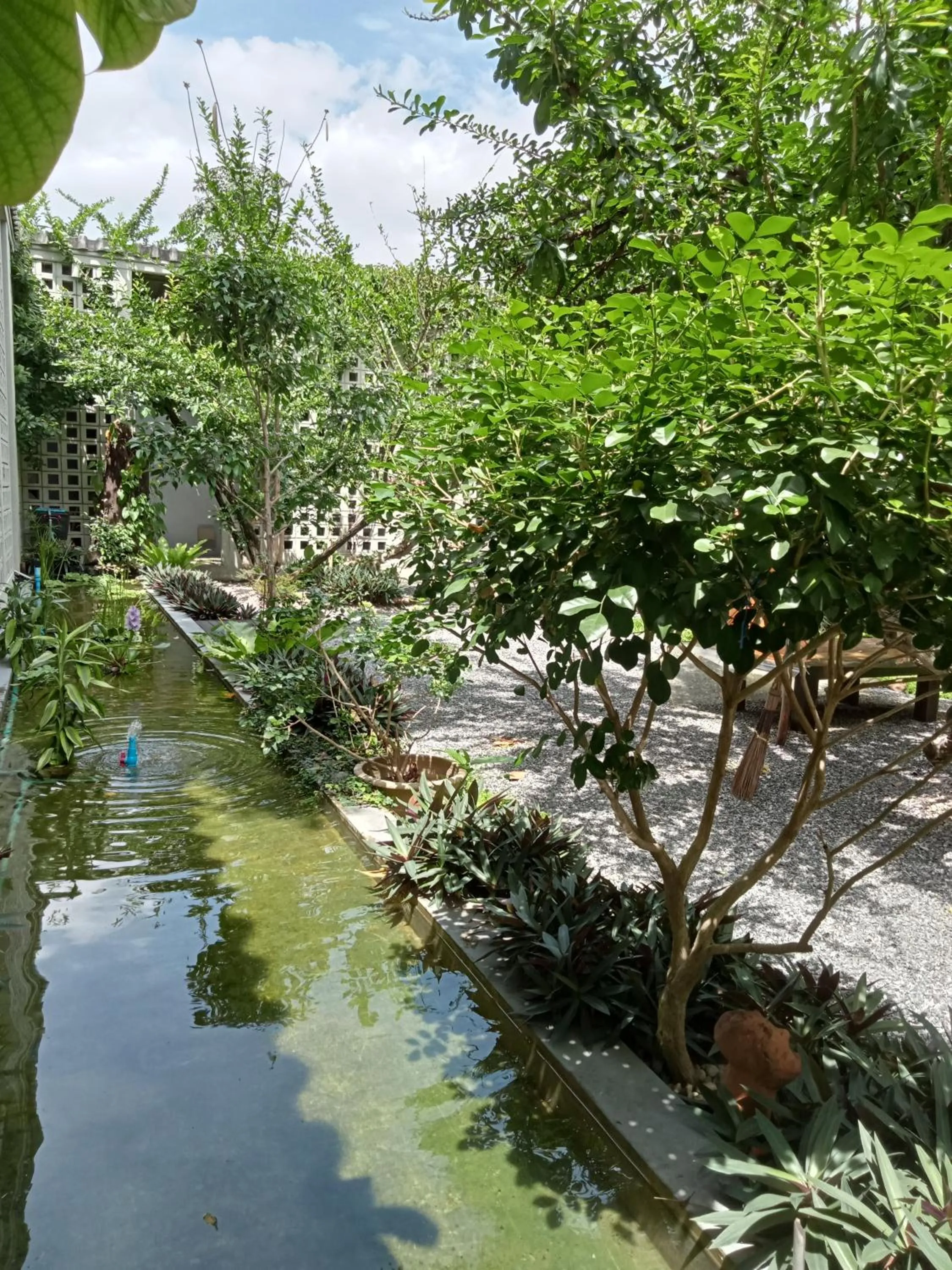 Garden in Baba pim villa