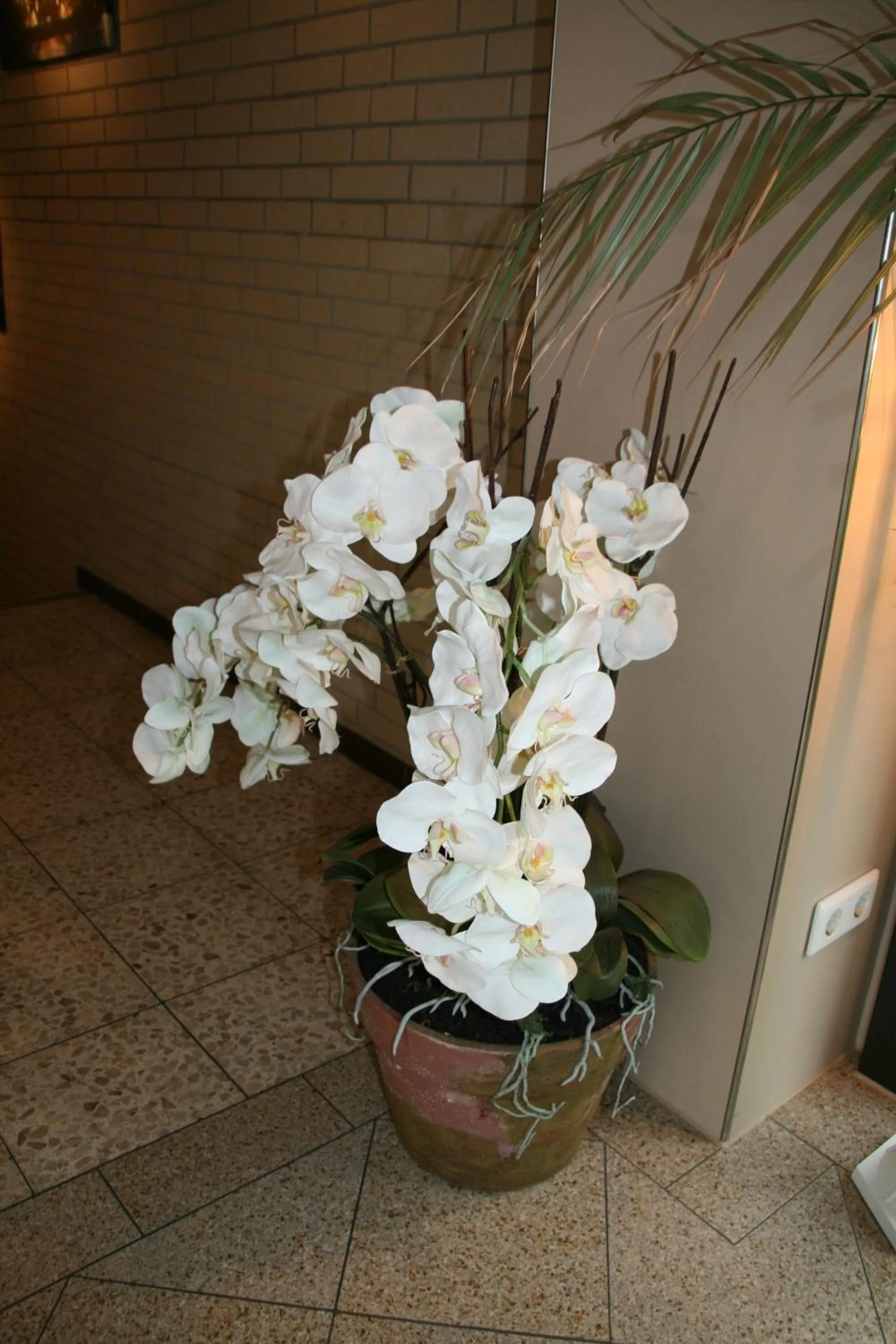Facade/entrance in Albertus Paris Aparthotel