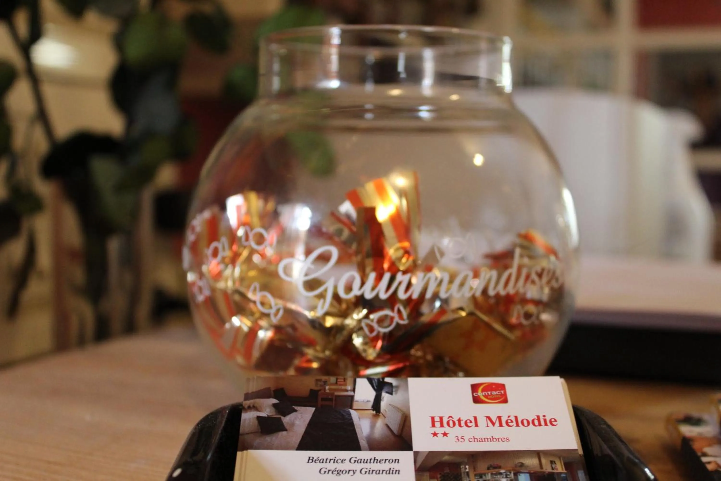 Property logo or sign in Hôtel Mélodie