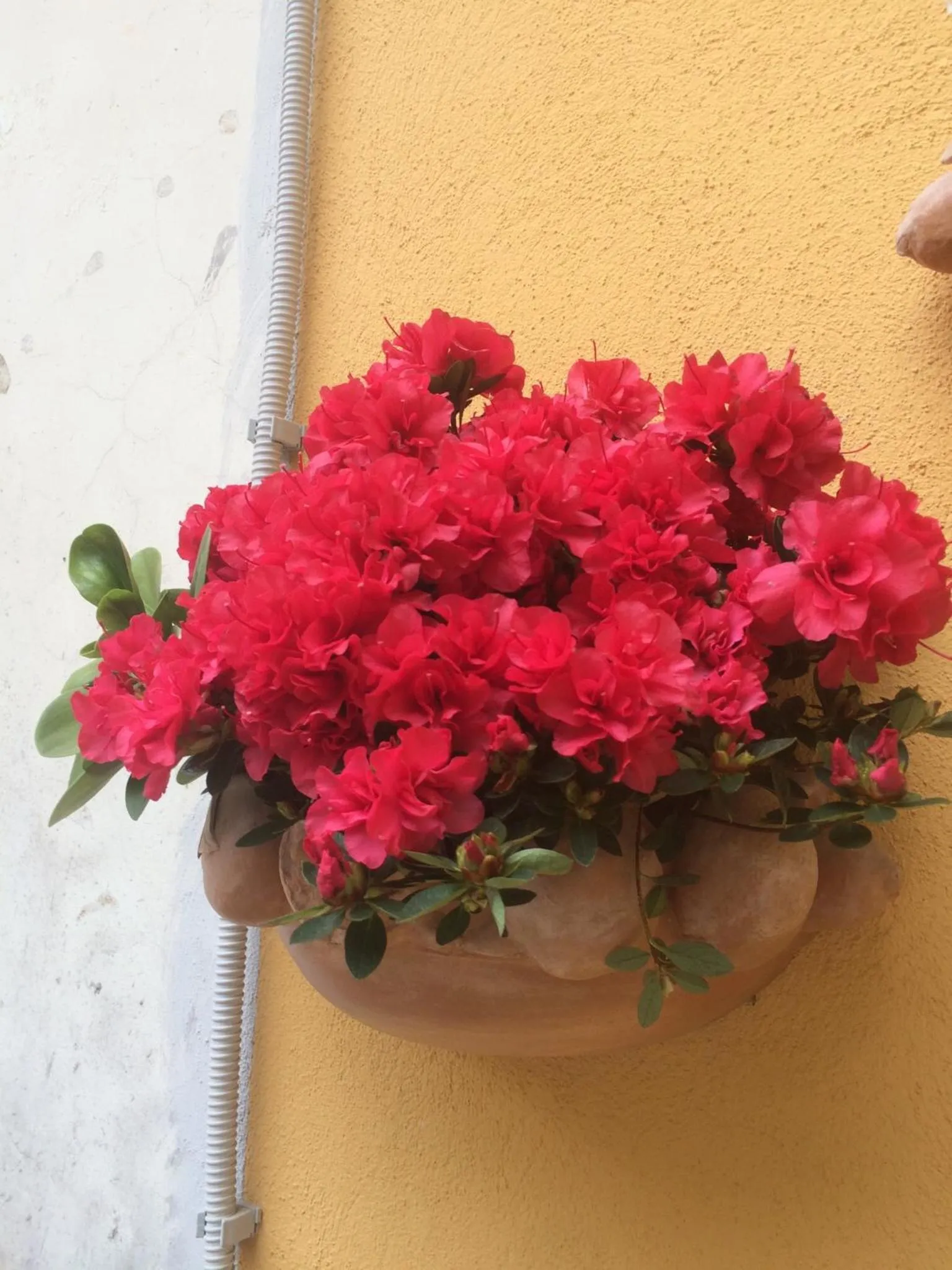 b&b la corte in centro