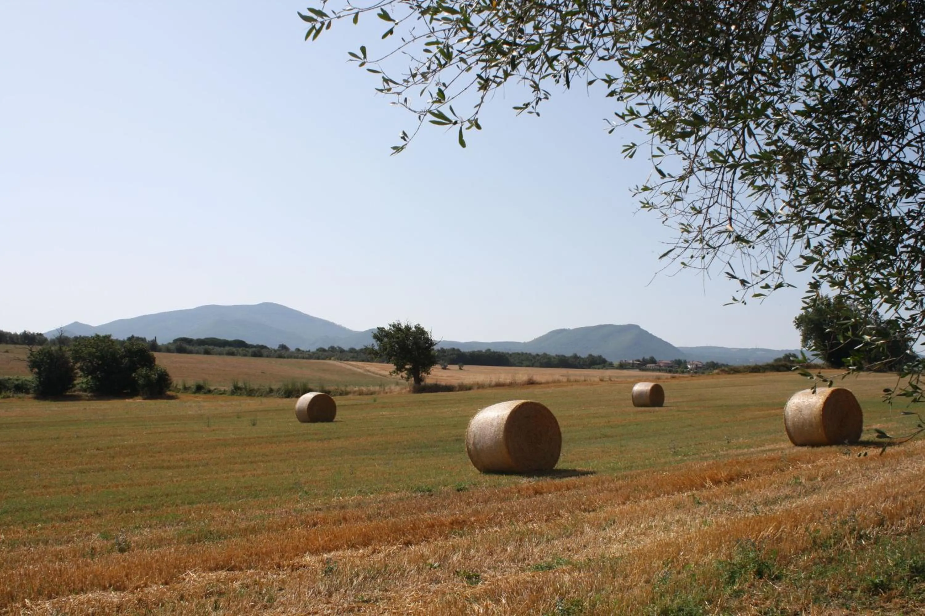 Natural landscape in Ippocastano B&B