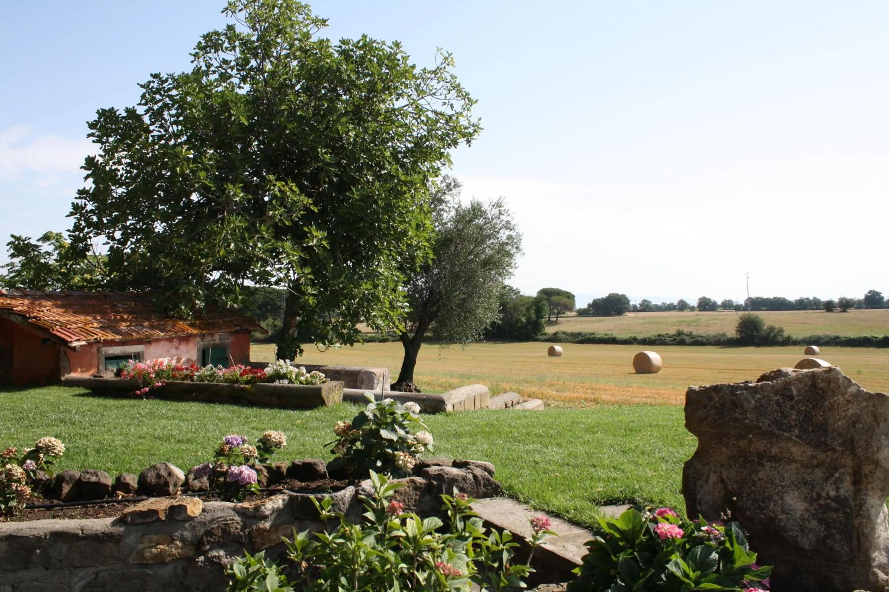 Garden in Ippocastano B&B