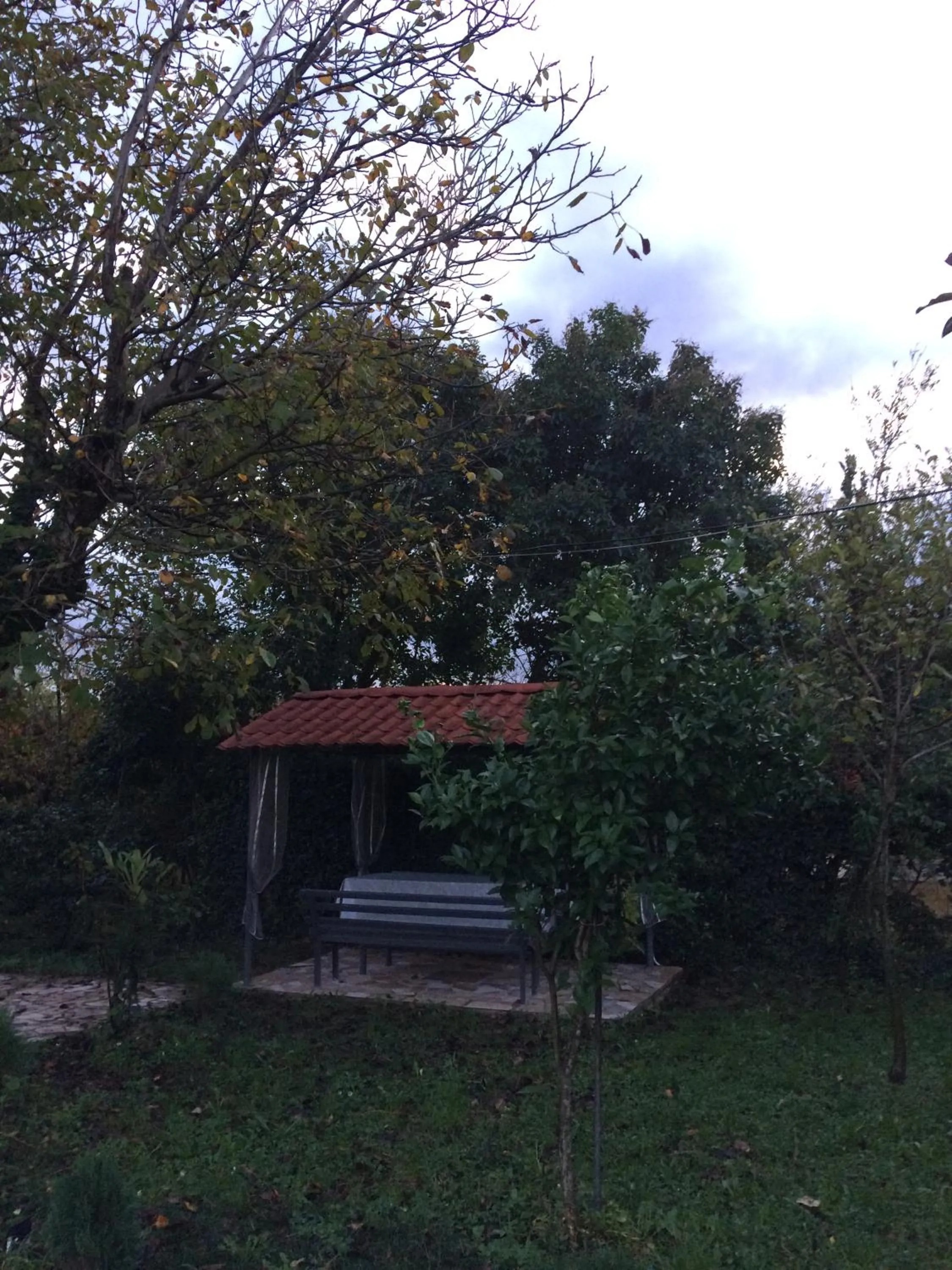 Garden in Sweet Memories