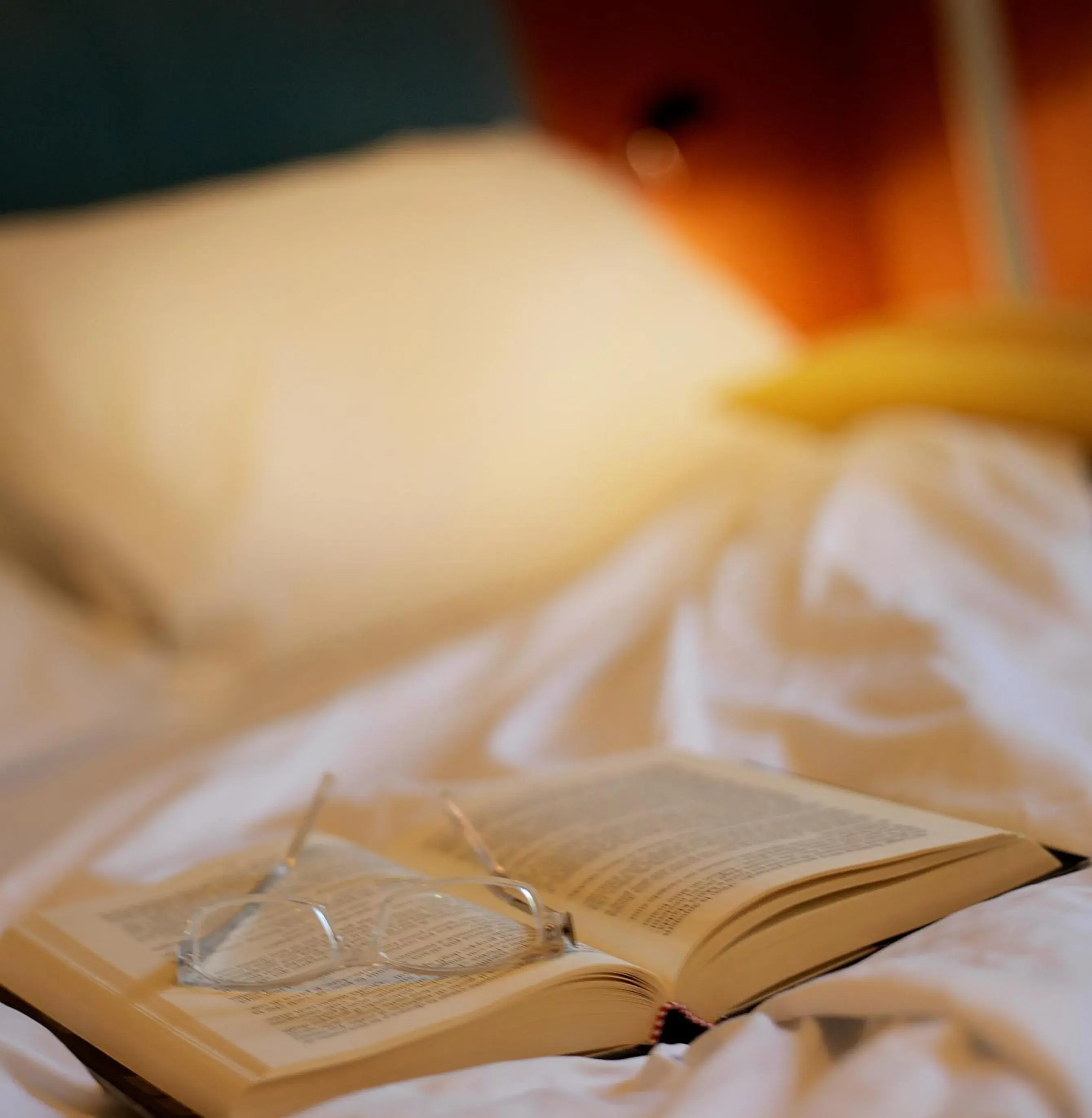 Single Room - Attic in Hotel Hawaii Bed and Coffee Single Room - Attic in Hotel Hawaii Bed and Coffee