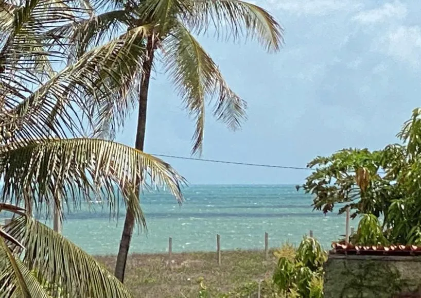 Pousada & Food 3 Abelhas