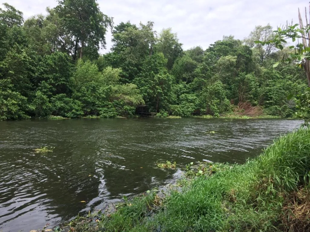 Pousada & Food 3 Abelhas