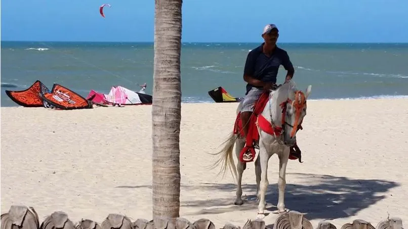 Pousada & Food 3 Abelhas