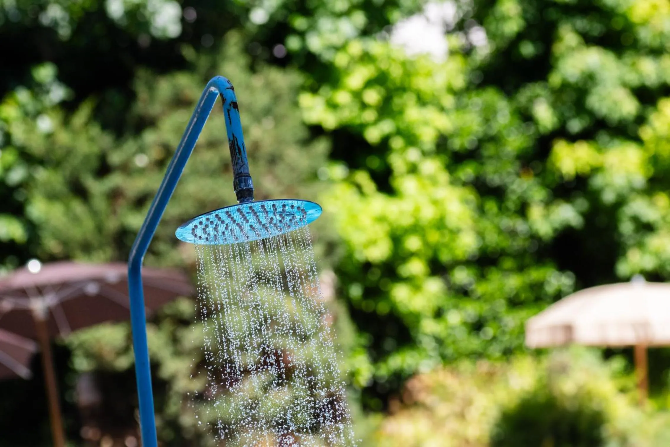 Swimming pool in Aldrovandi Residence City Suites
