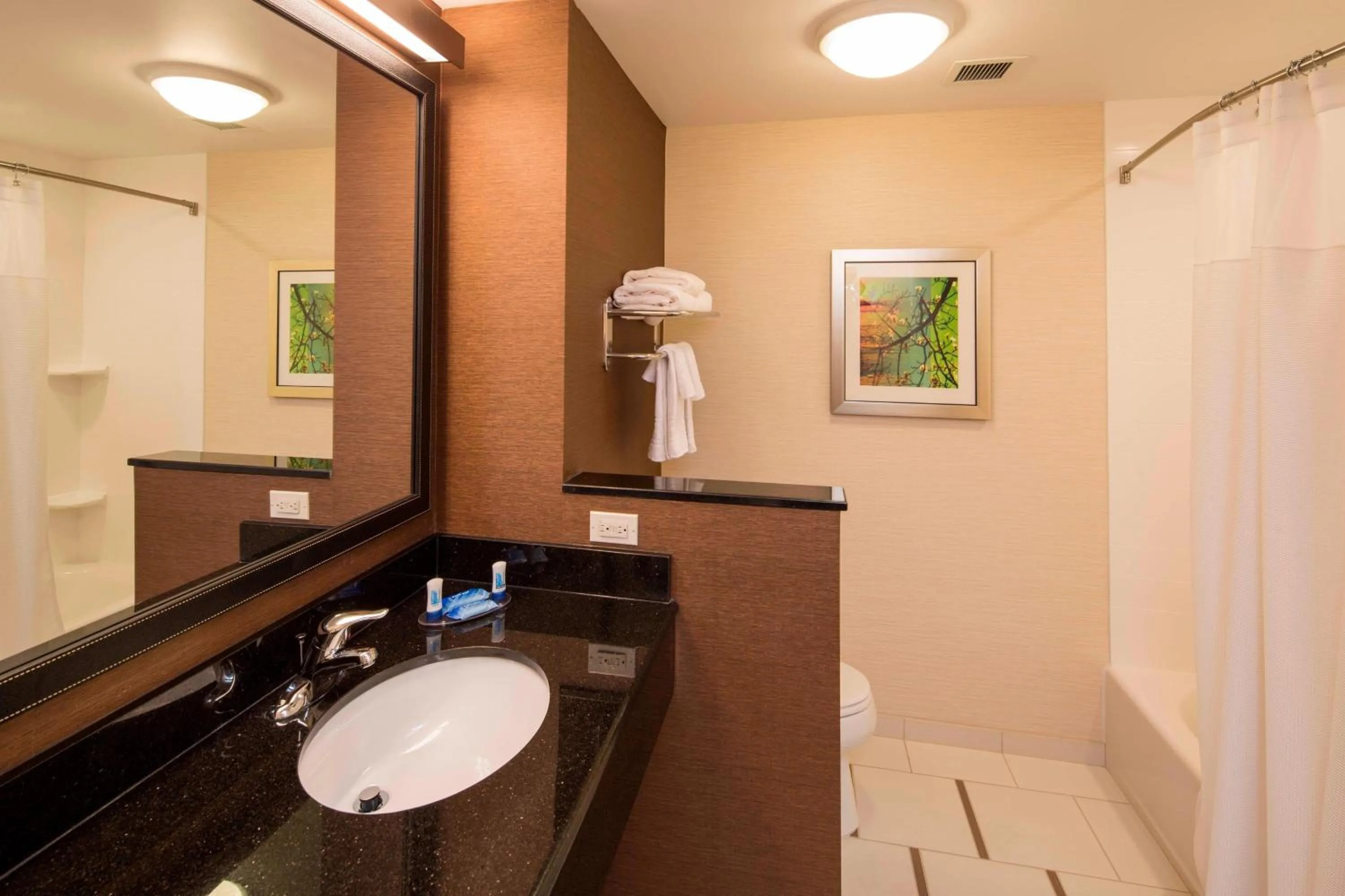 Bathroom in Fairfield Inn & Suites by Marriott Hershey Chocolate Avenue