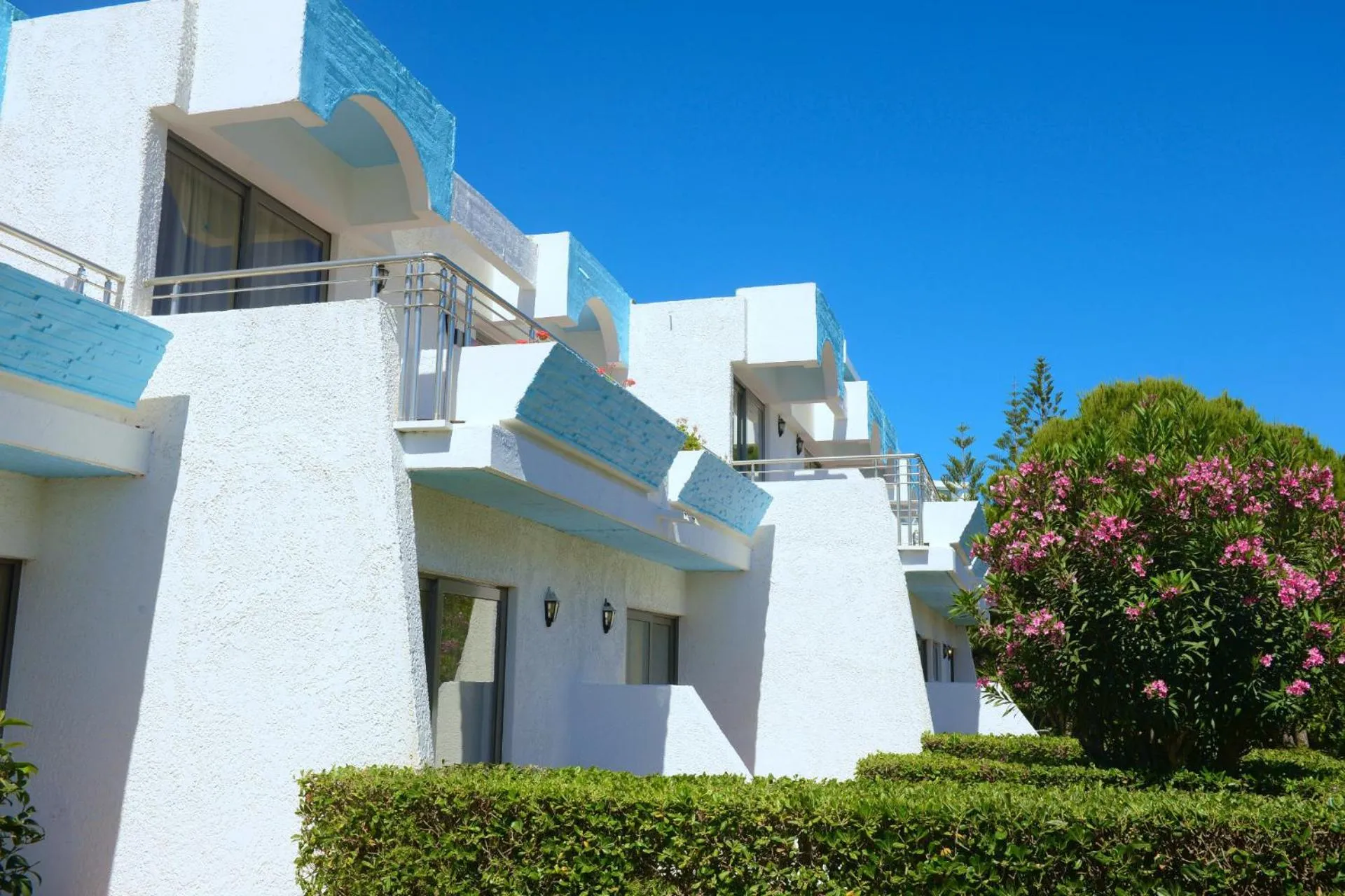 Garden in Blue Horizon