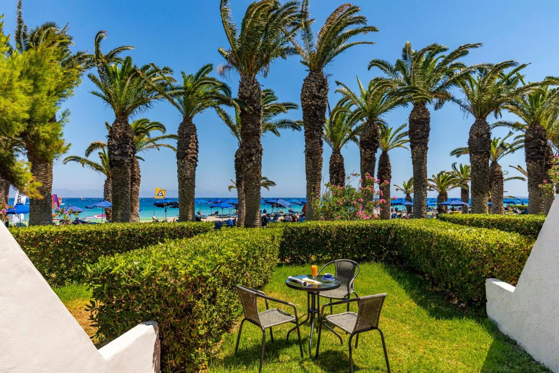 Garden in Blue Horizon