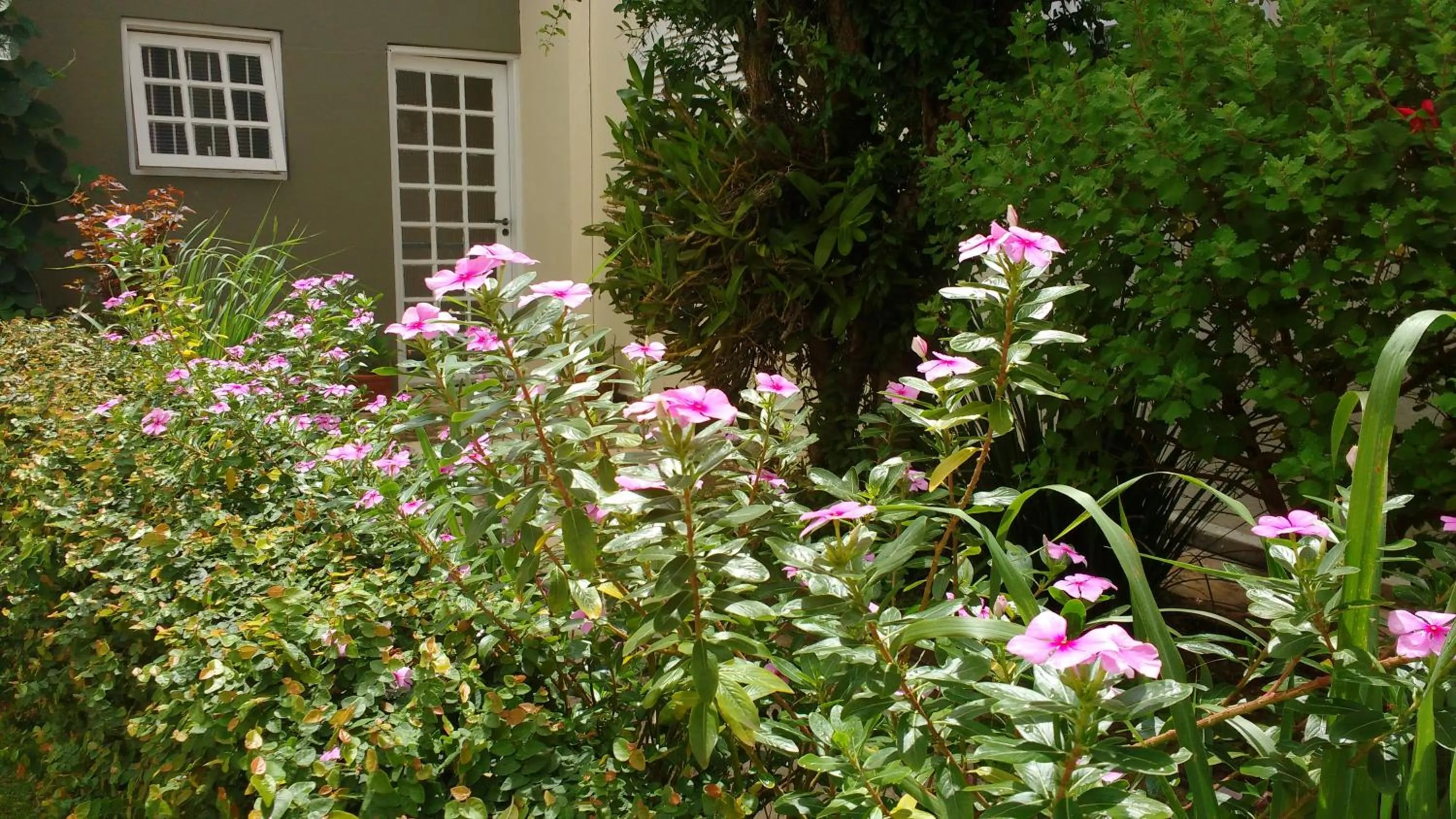 Spring in Hotel Santiago