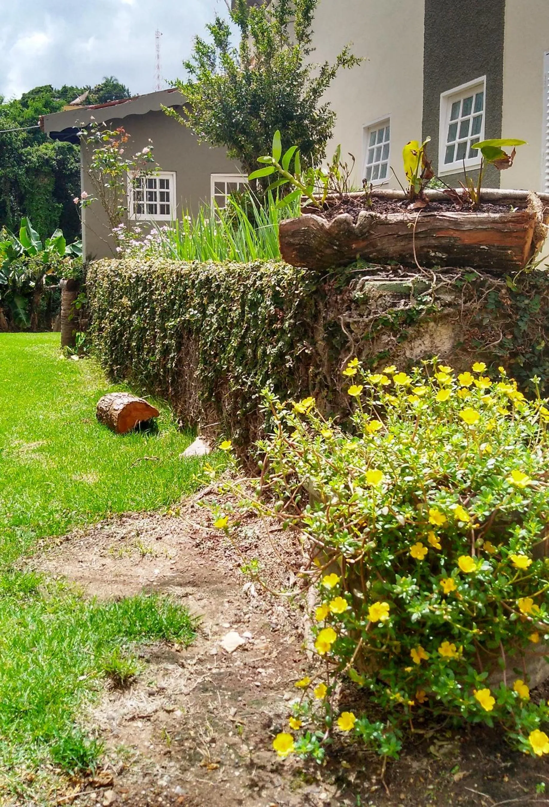 Garden in Hotel Santiago