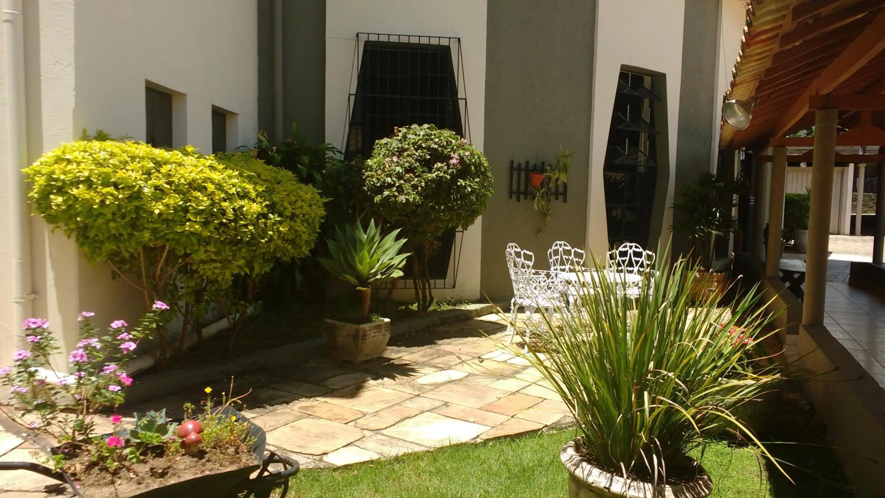 Garden in Hotel Santiago