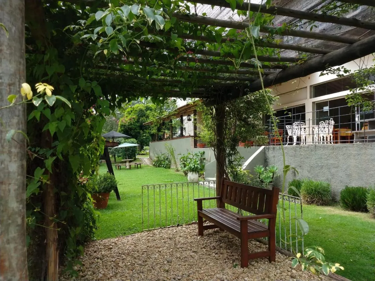 Garden in Hotel Santiago