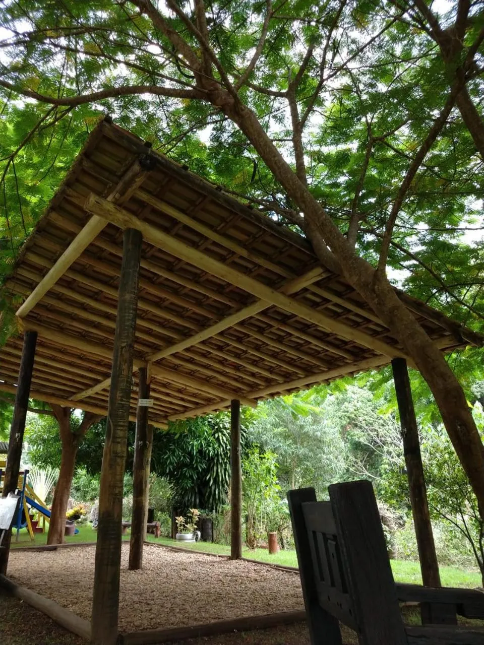 Garden in Hotel Santiago