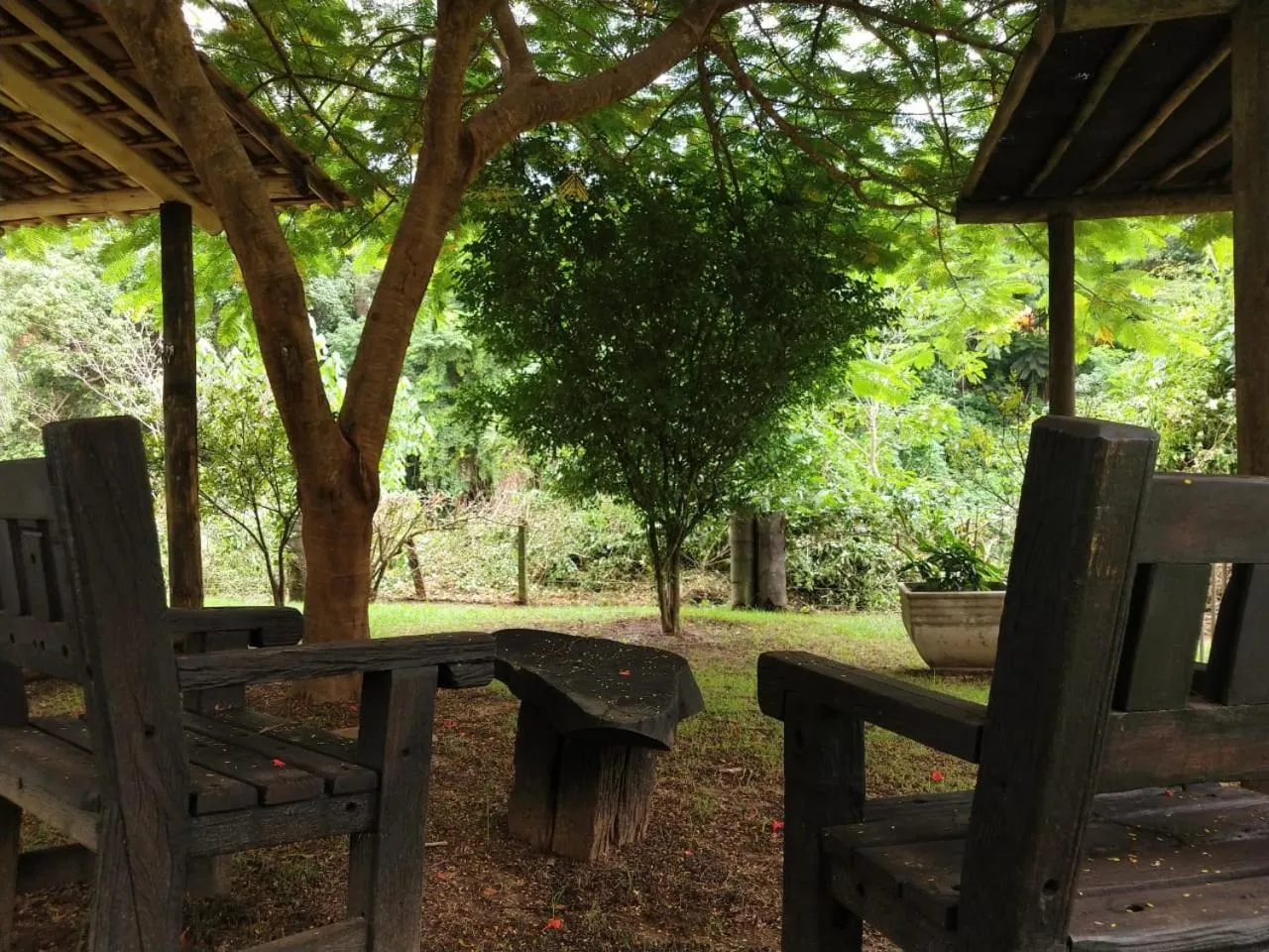 Garden in Hotel Santiago