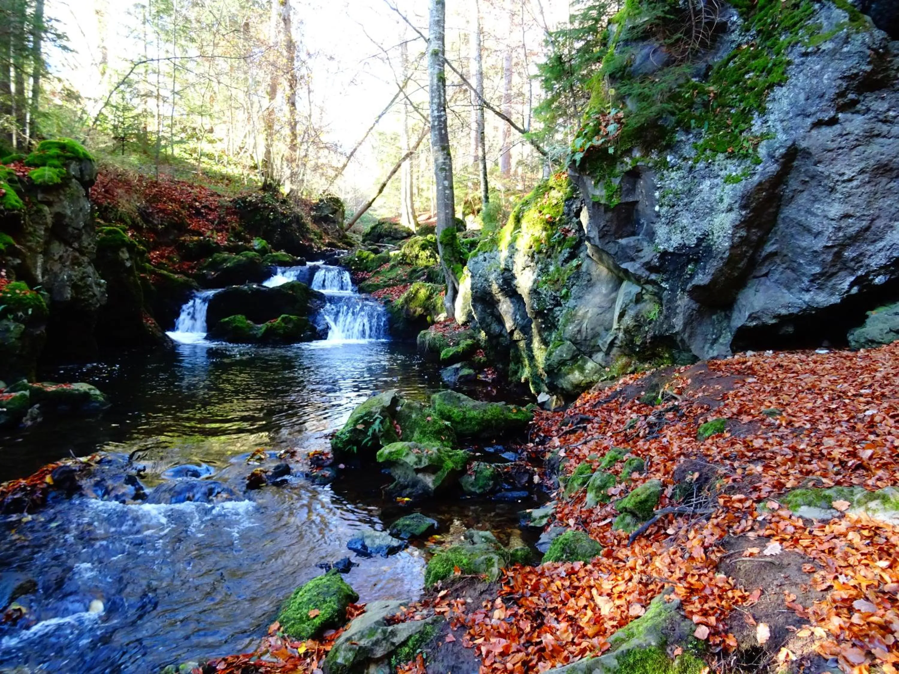Natural landscape in Le Pont du Roy