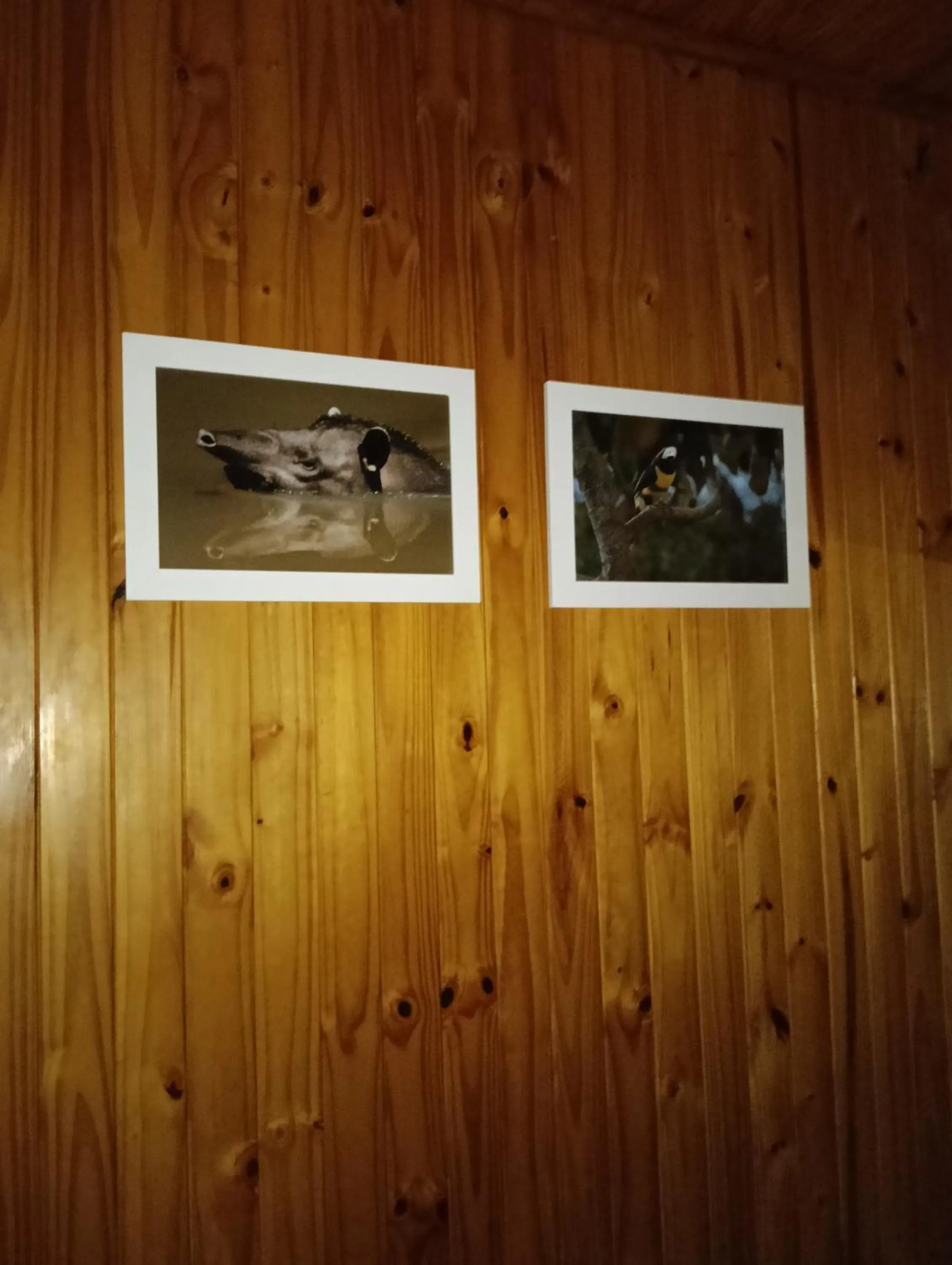 El Descanso Iguazú by DOT Cabana